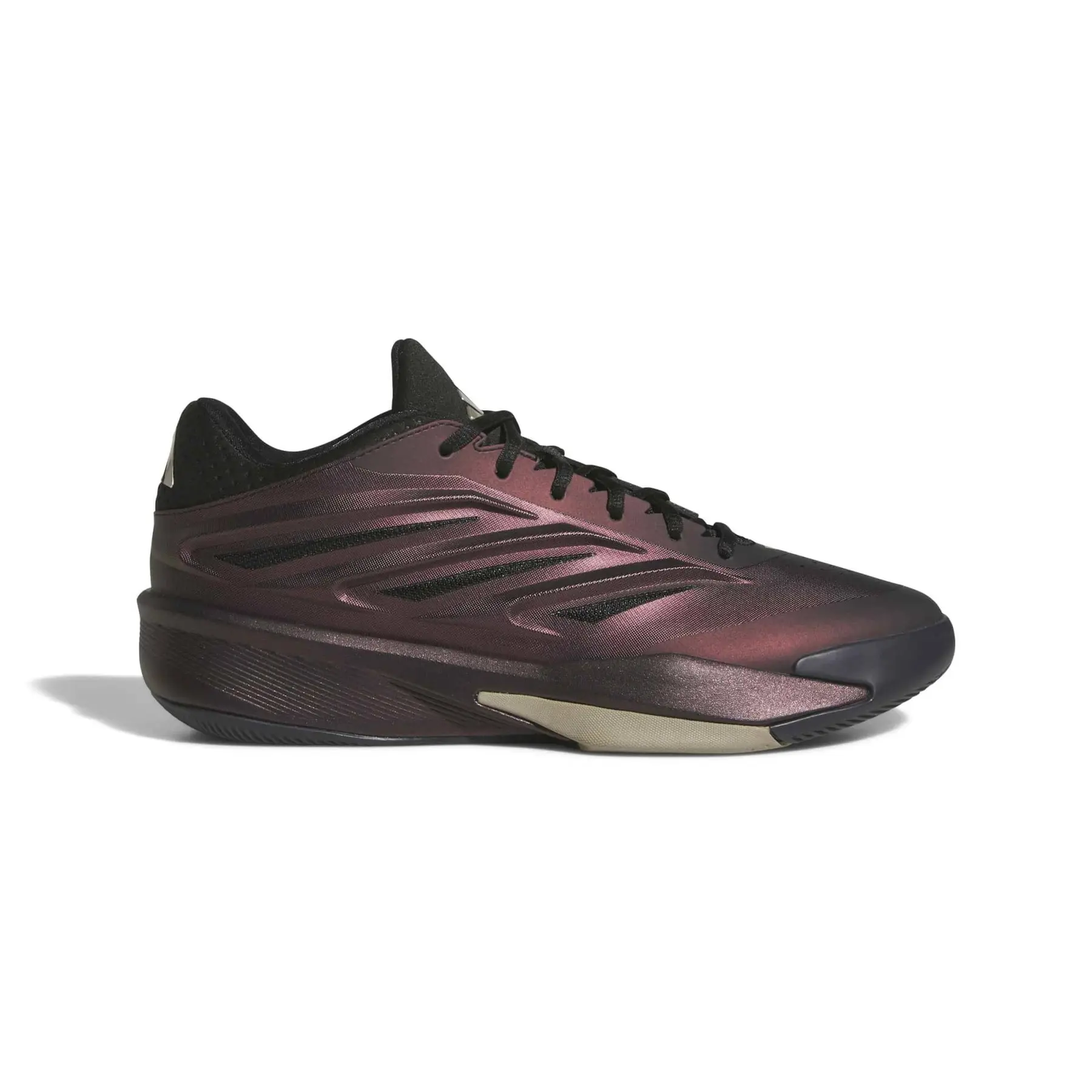 CHAUSSURE CRAZY ENERGY - vue 2