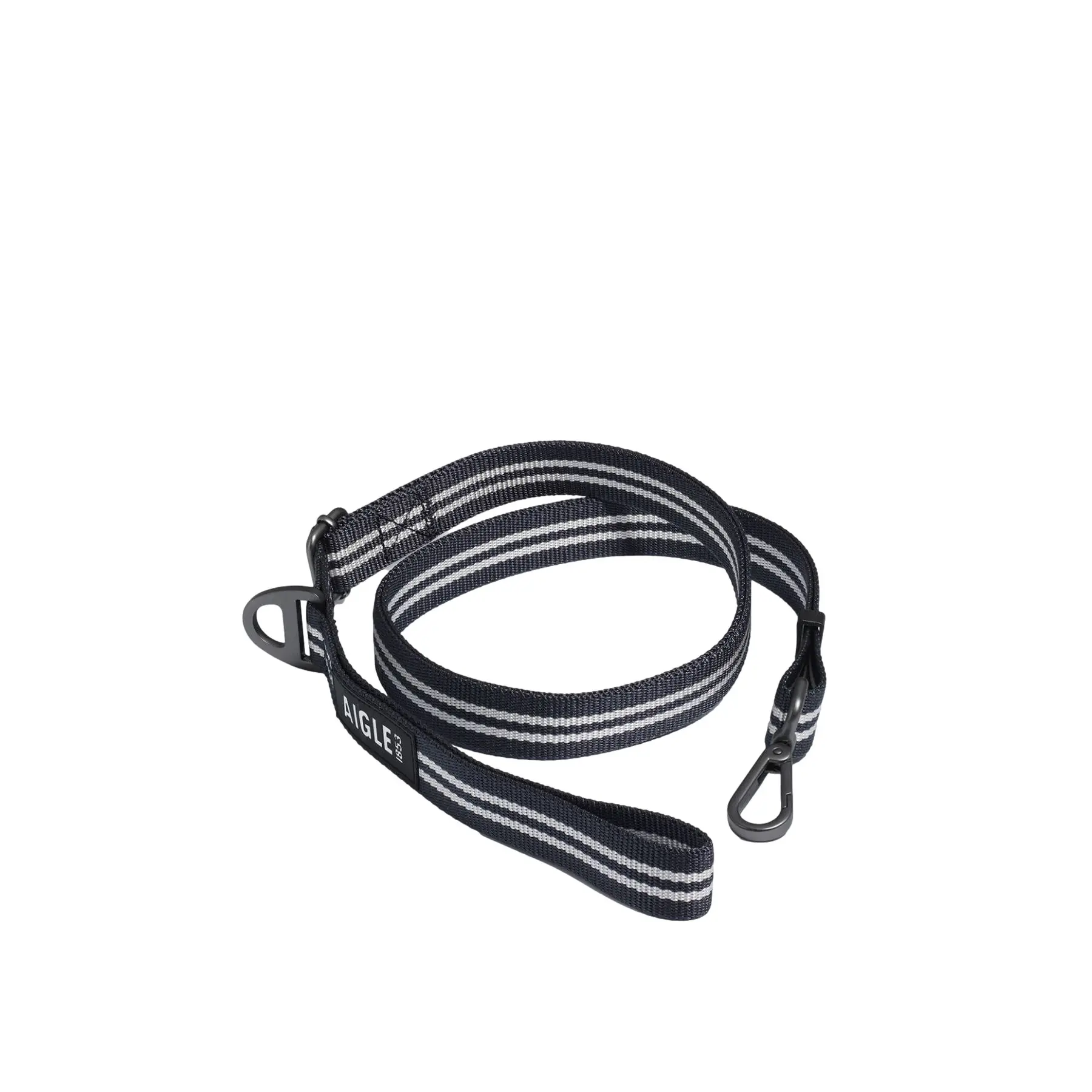 Laisse pour chien Aigle