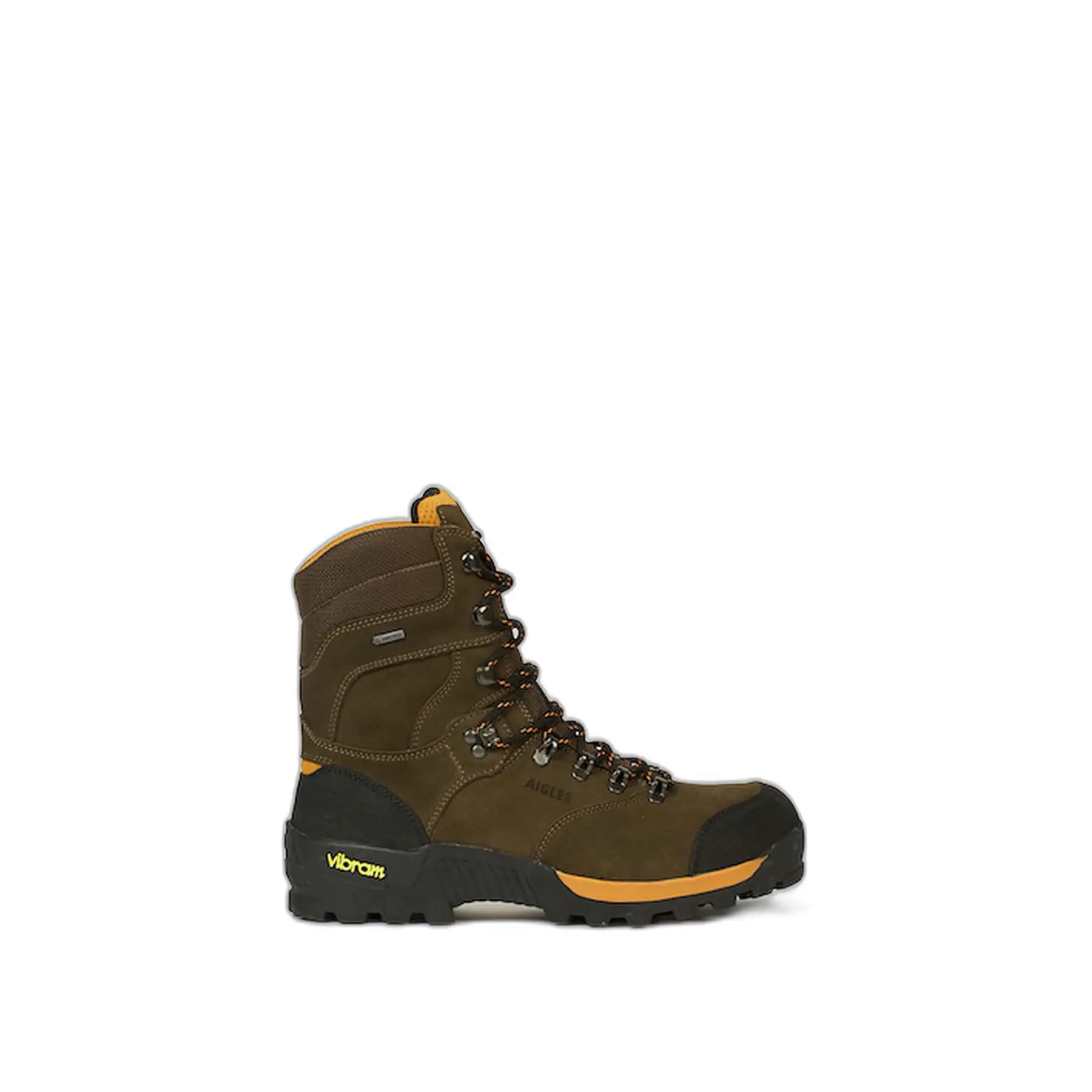 Hiking Trainers Aigle Altavio Hi Gtx