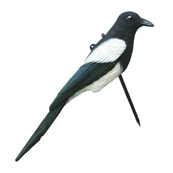 Rufer Akah Bird Magpie