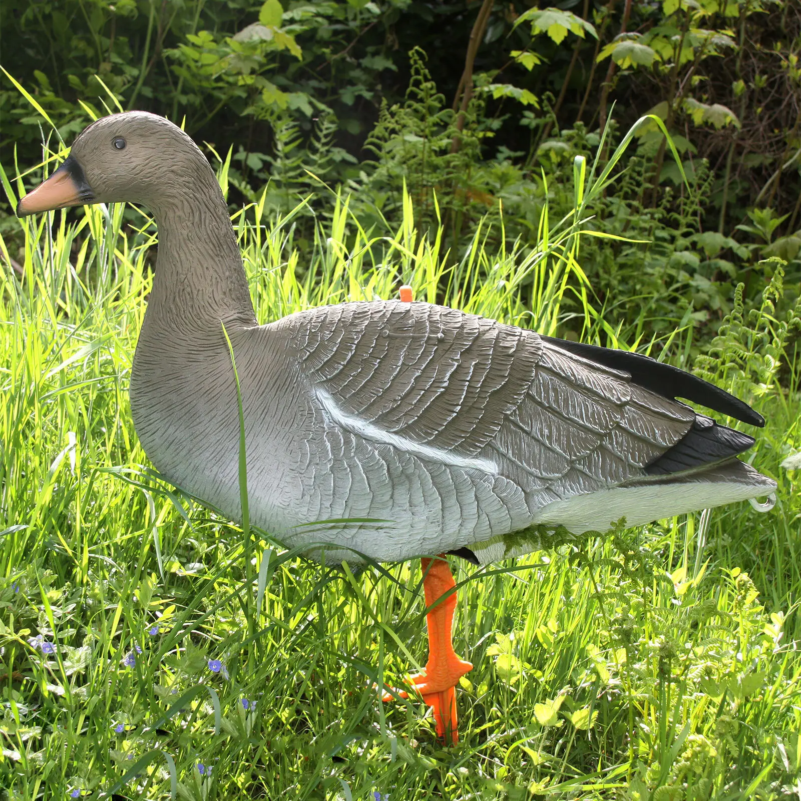 Appelants Gans der Ernte Akah