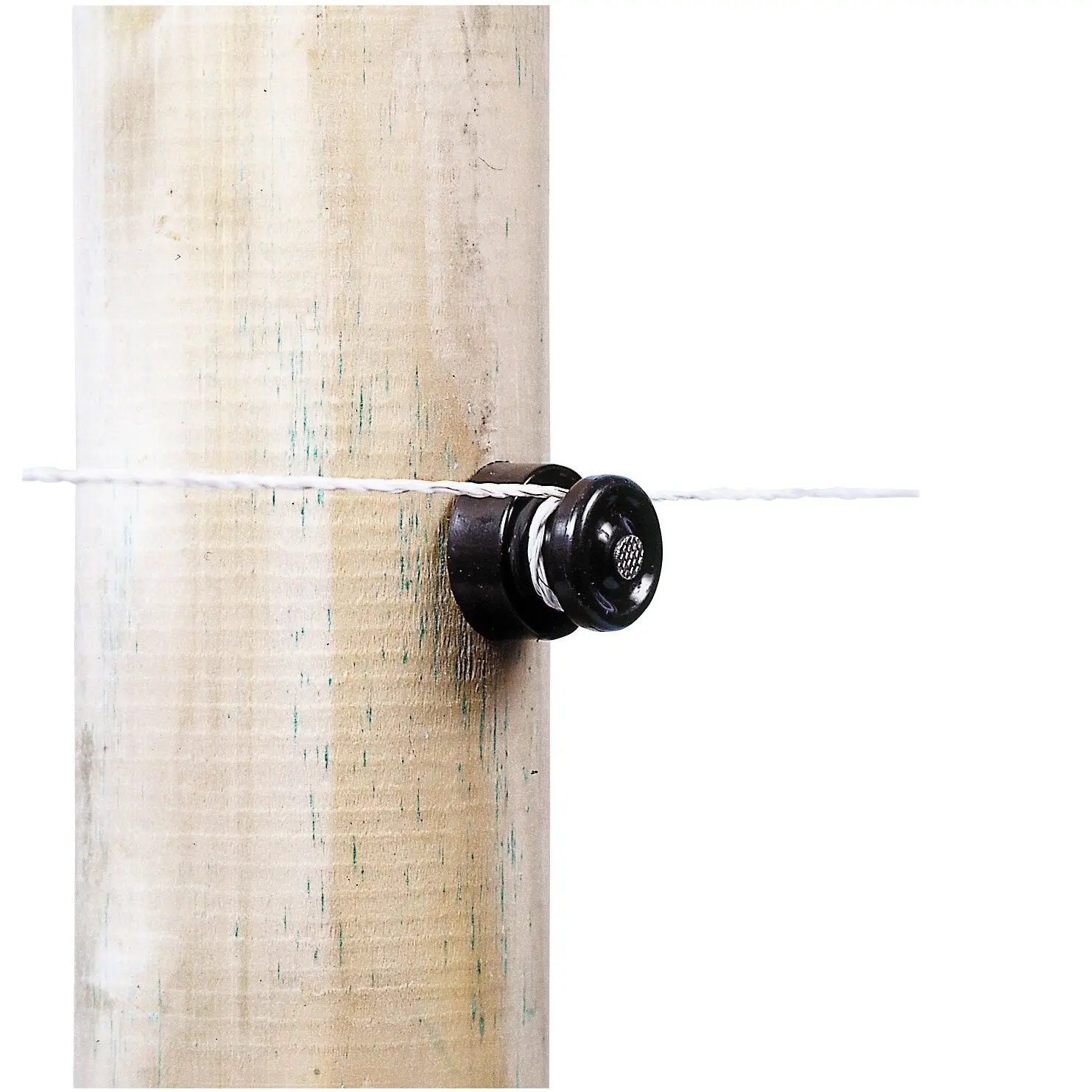 Button-type nail insulators without nails Ako (x100)