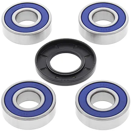 Lagerkit für die Hinterachse All Balls Racing 25-1228