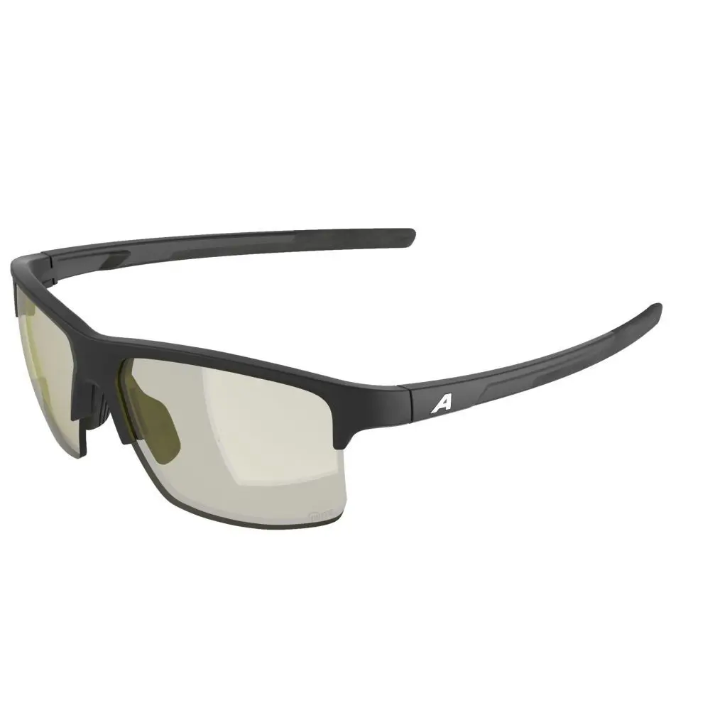Sonnenbrille Alpina Eagle Q-lite