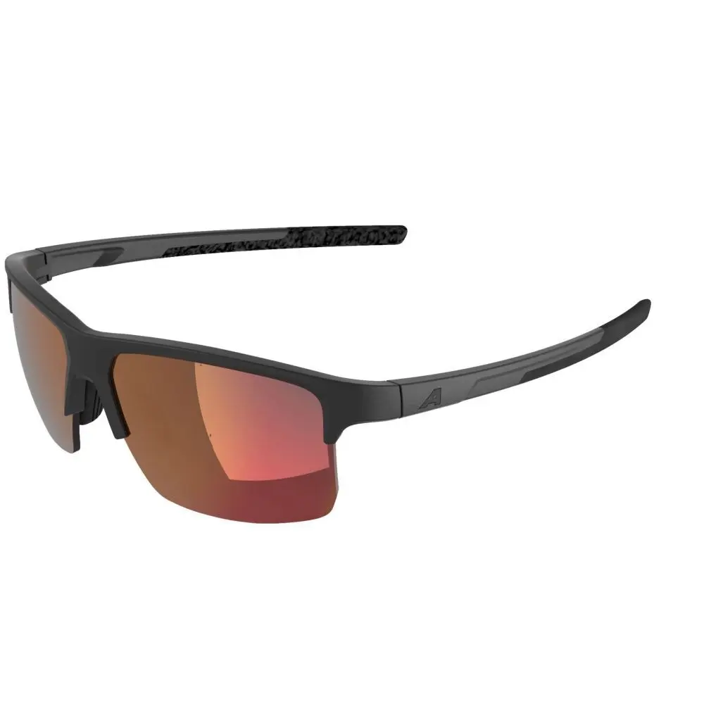 Sonnenbrille Alpina Eagle Q-lite