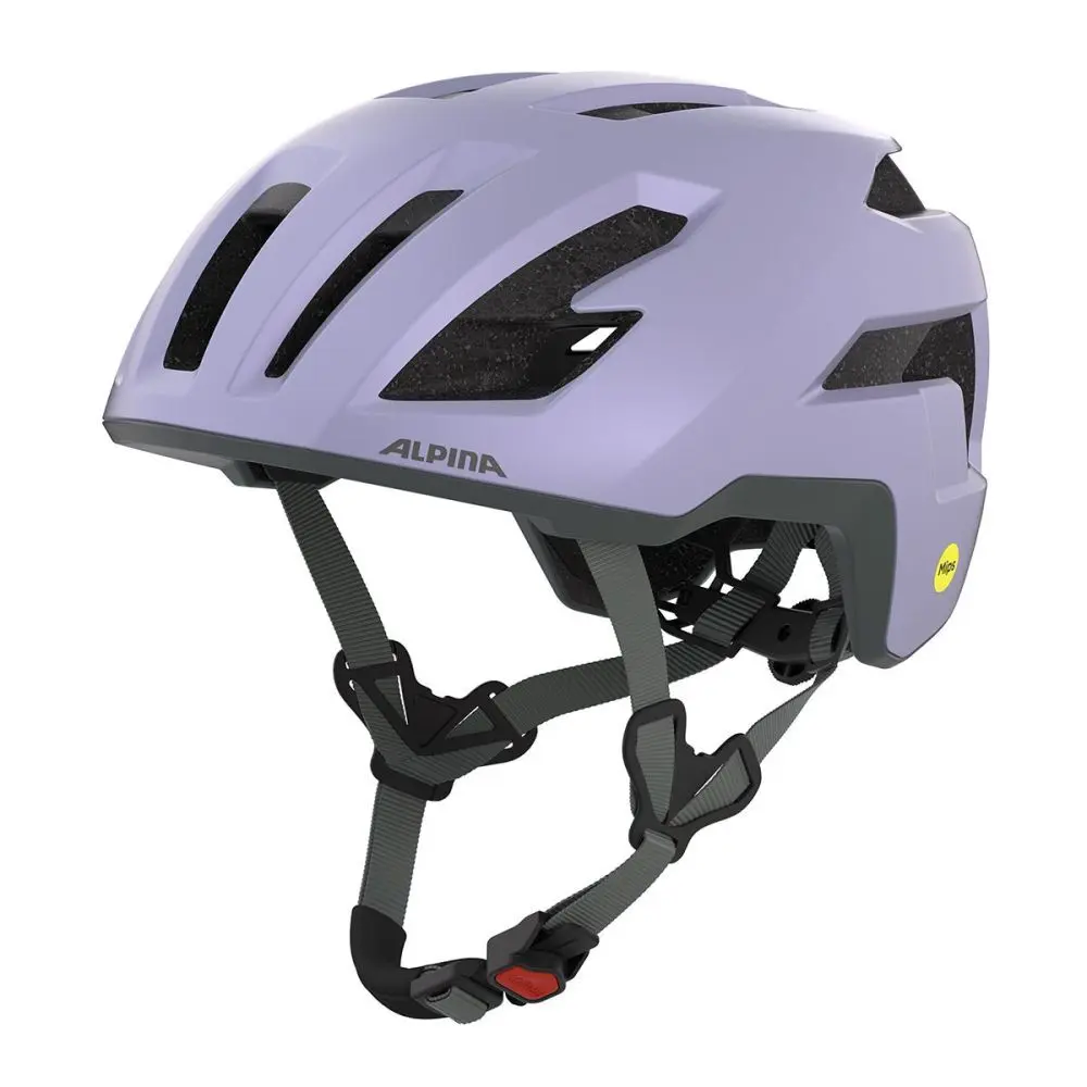 Koptelefoon Alpina Taunus Gravel MIPS