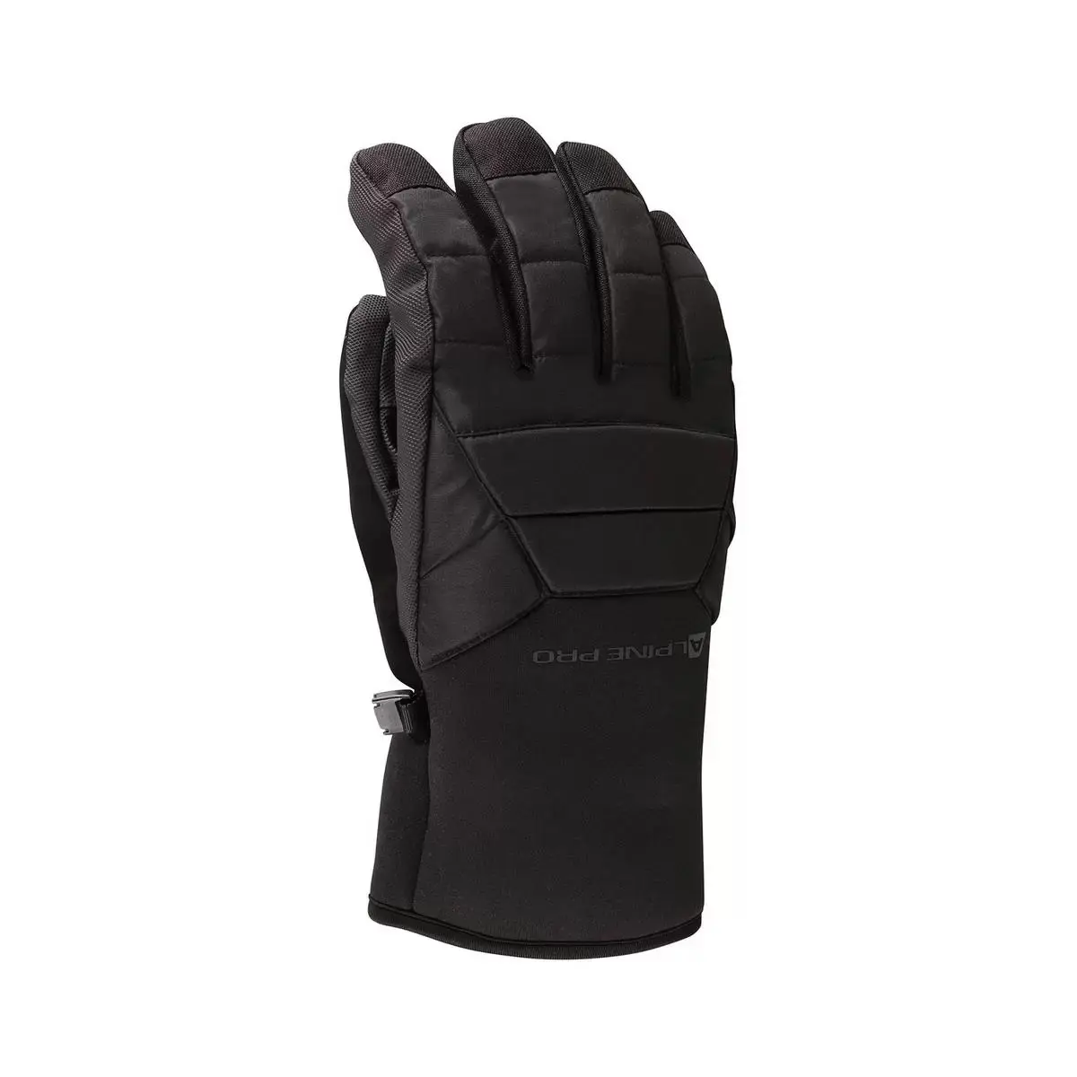 Skihandschuhe Alpine Pro Gomme
