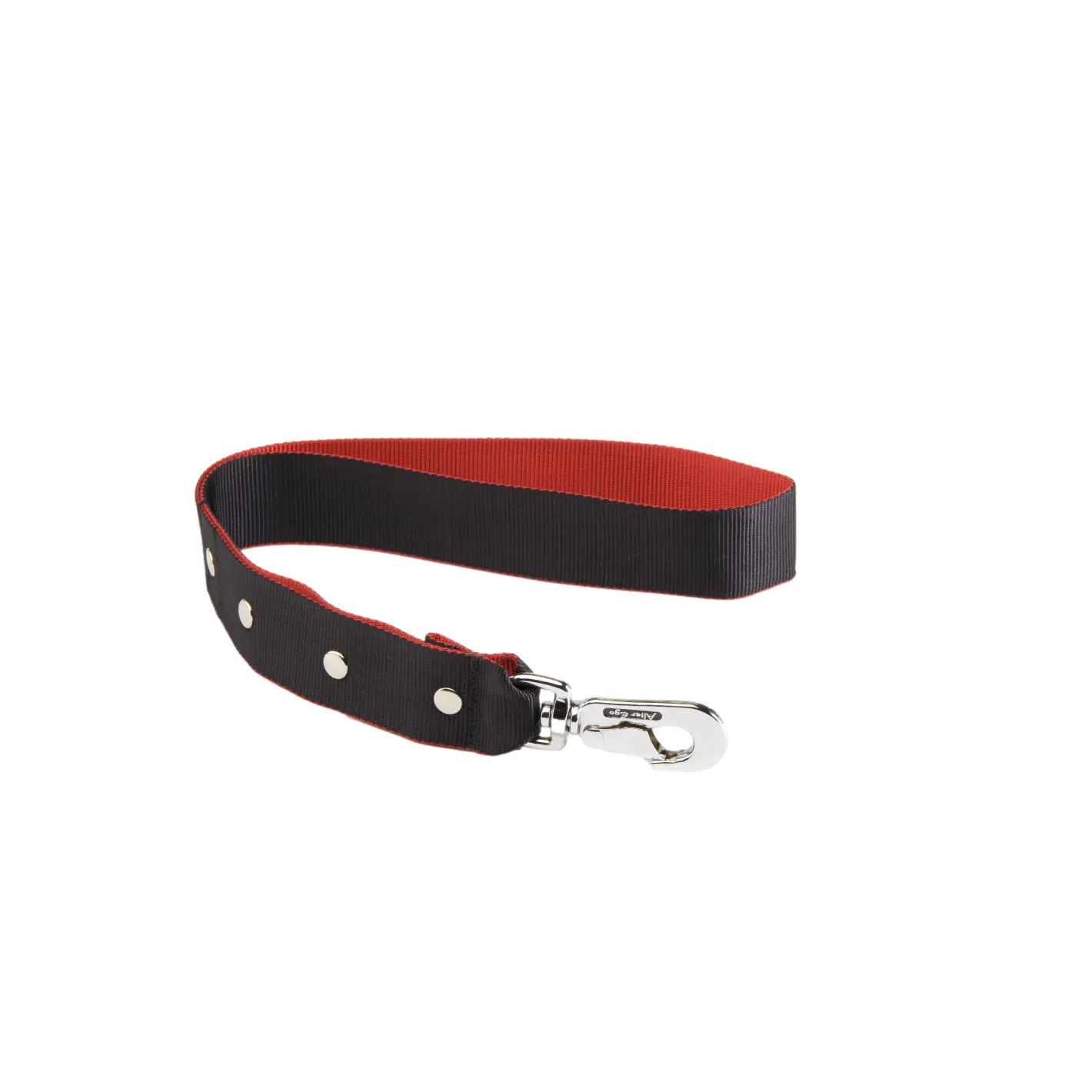 Dog leash Alter Ego L