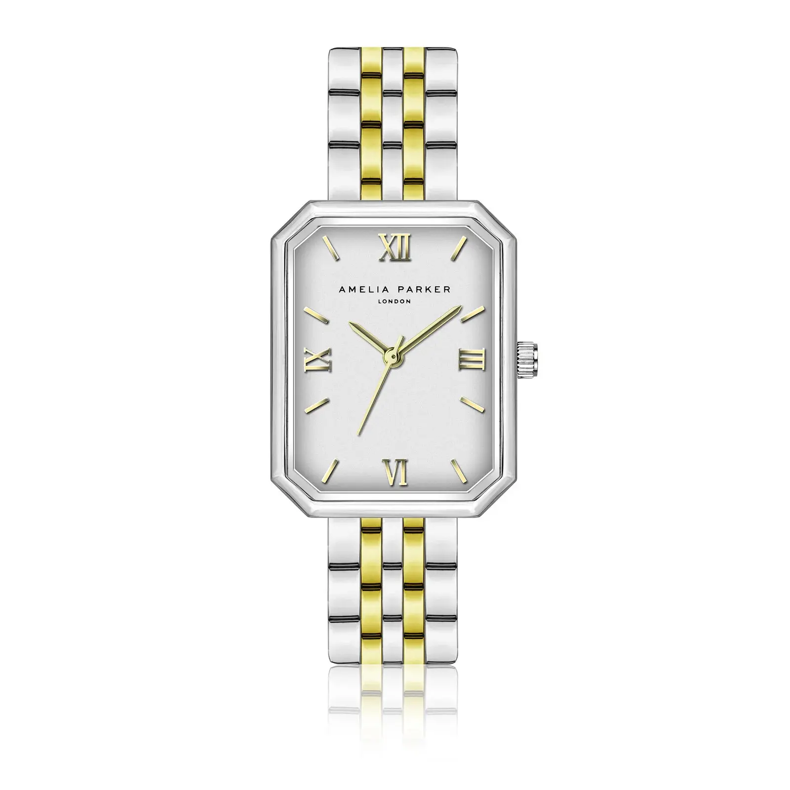 Amelia Parker Women's Gris Watch Reefa Link