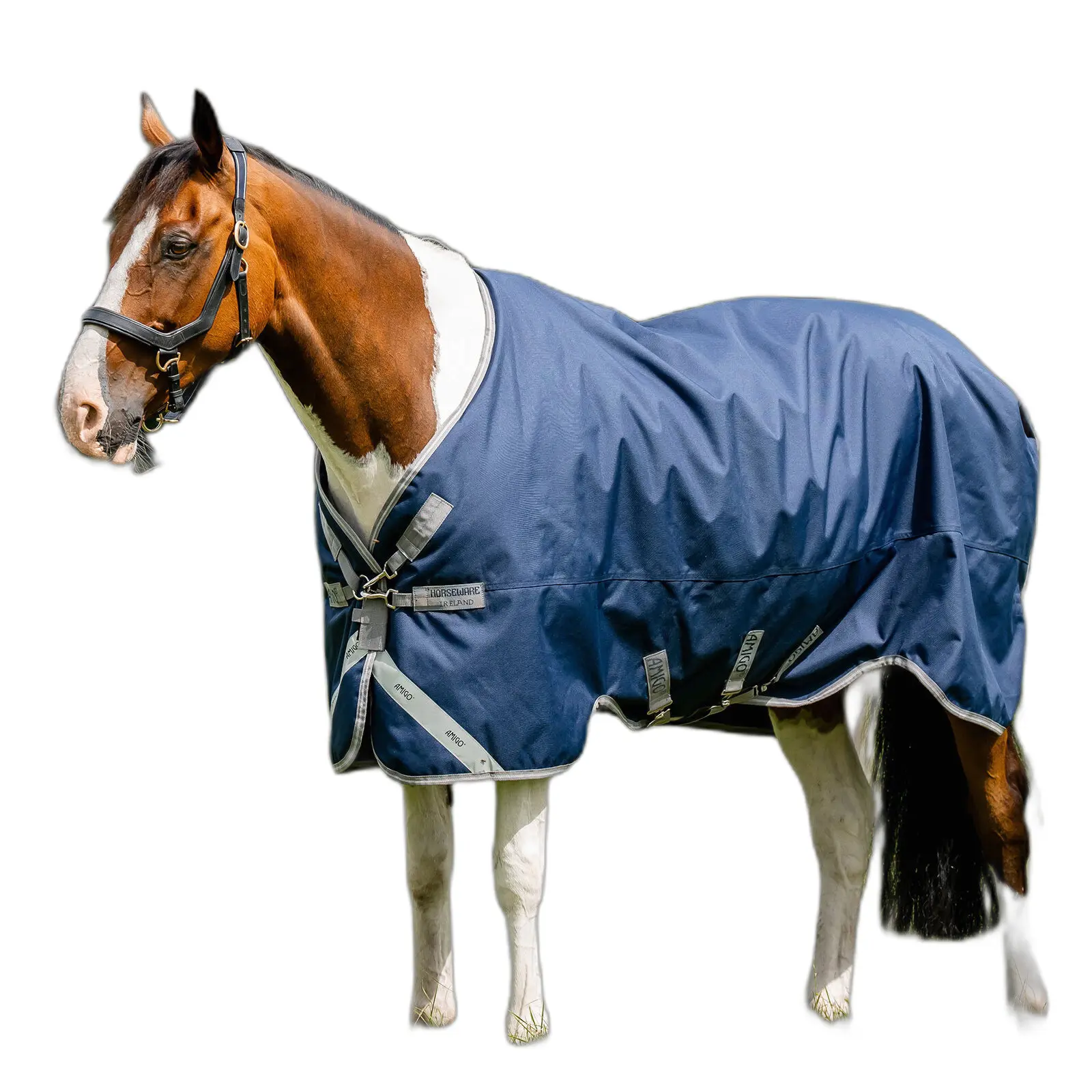 Coperta da paddock per cavalli Amigo 1200D 100g