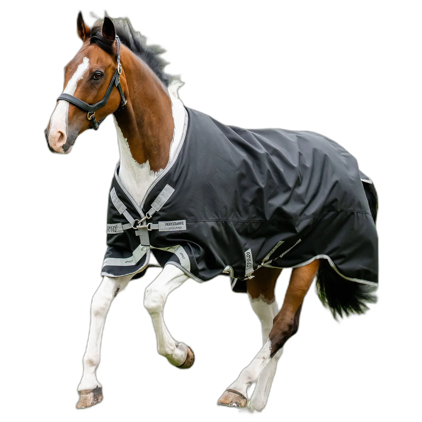 Coperta da paddock per cavalli Amigo 1200D 50g