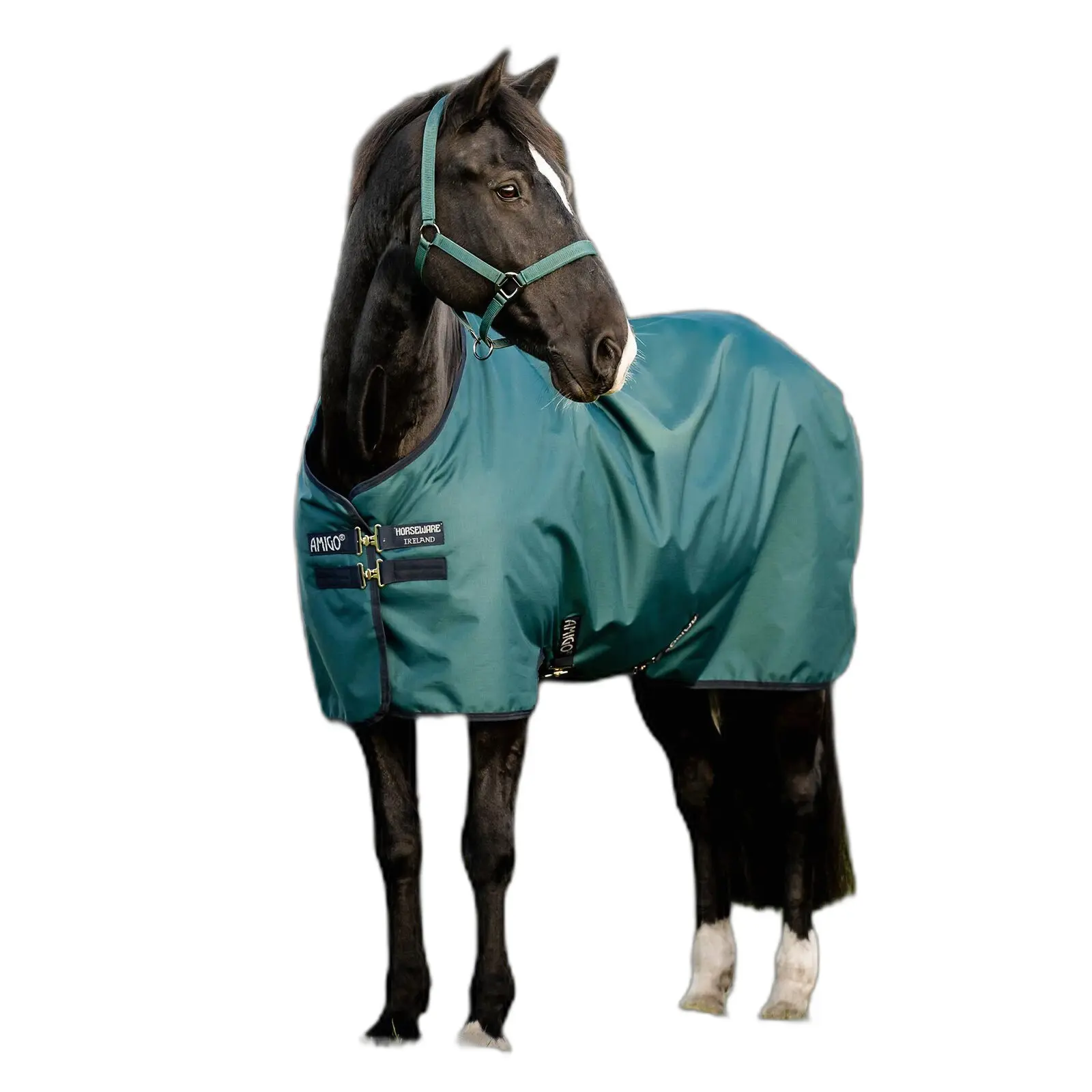 Coperta da paddock per cavalli Amigo Ripstop 900D 50g