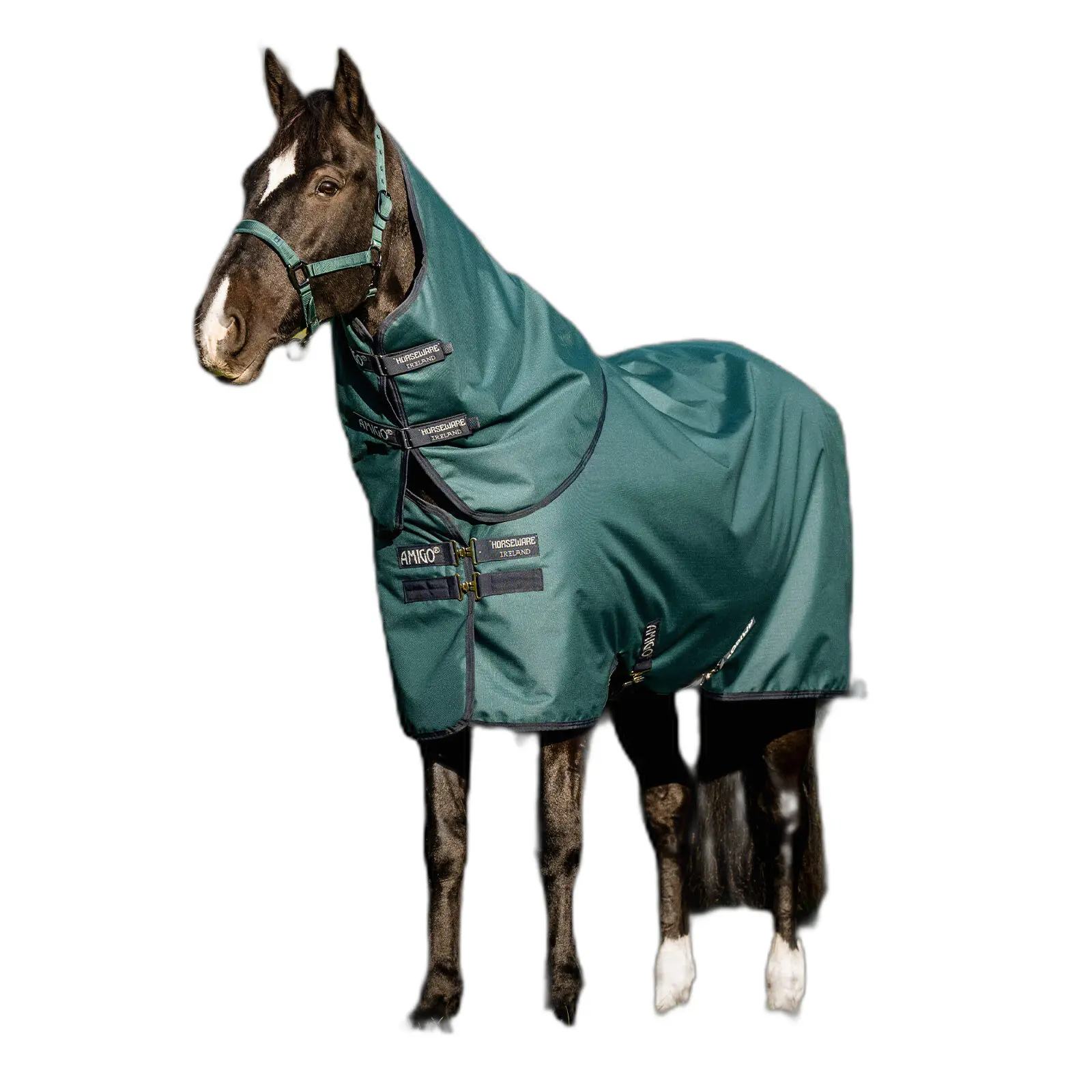 Coperta da paddock per cavalli Amigo Ripstop 900D Plus 0g