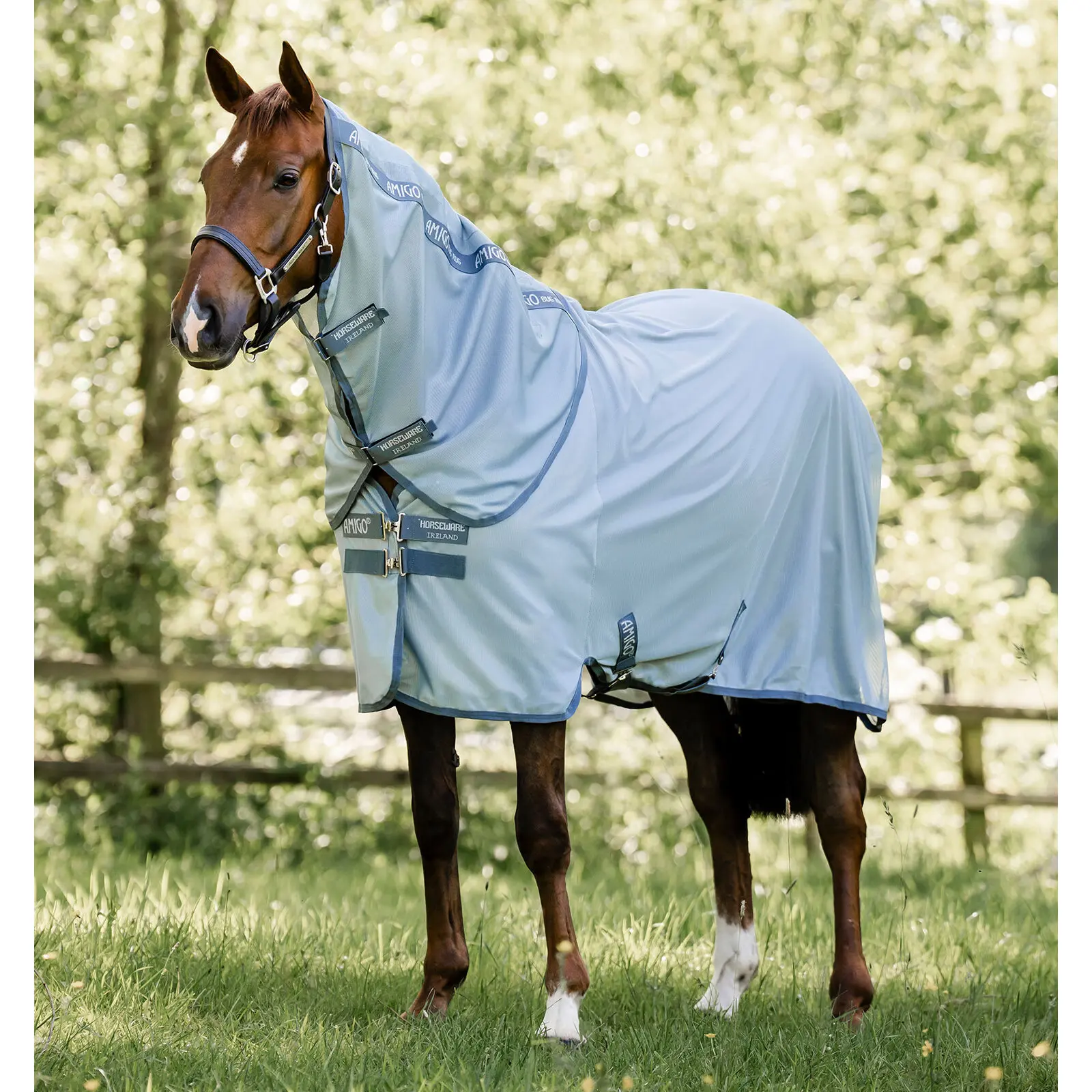 Coperta anti-mosche per cavalli - con copricollo Amigo Bug Rug Plus