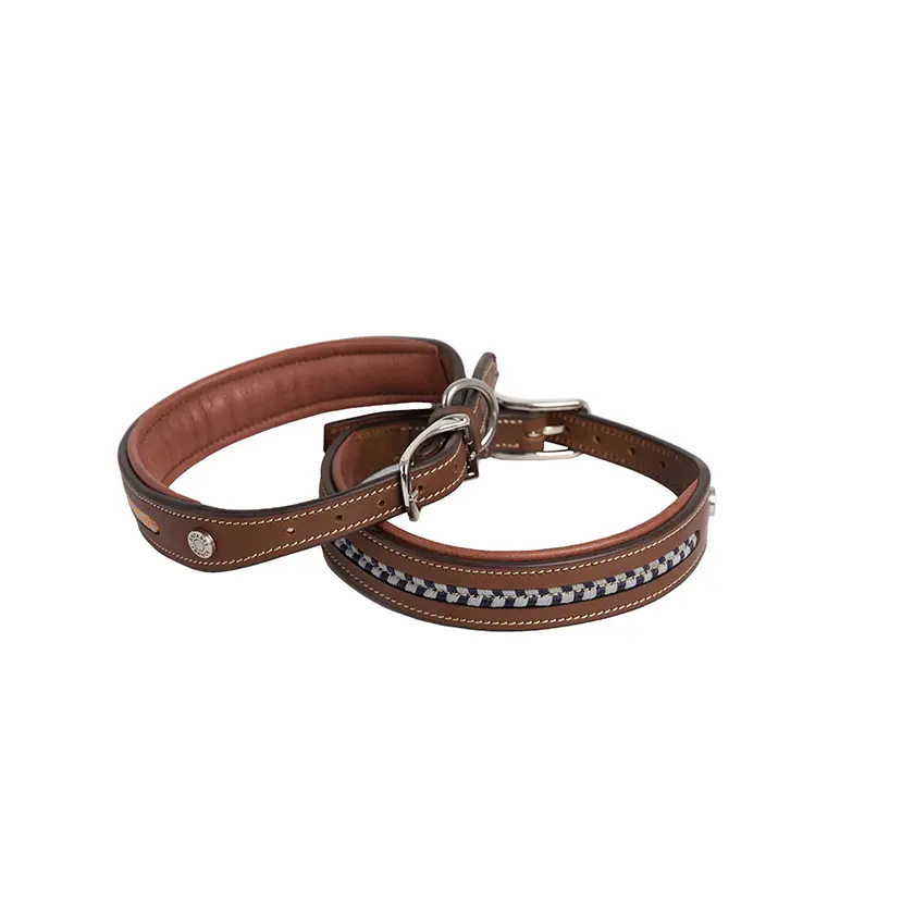 Hundehalsband aus Leder Antarès - Farbe: Braun