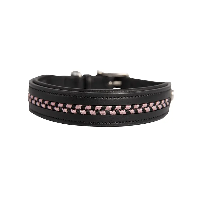 Hundehalsband aus Leder Antarès - Farbe: Schwarz
