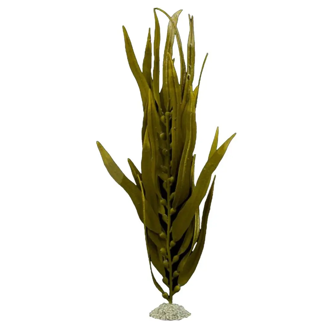 Decorazione per acquario pianta artificiale Aqua Della Kelp