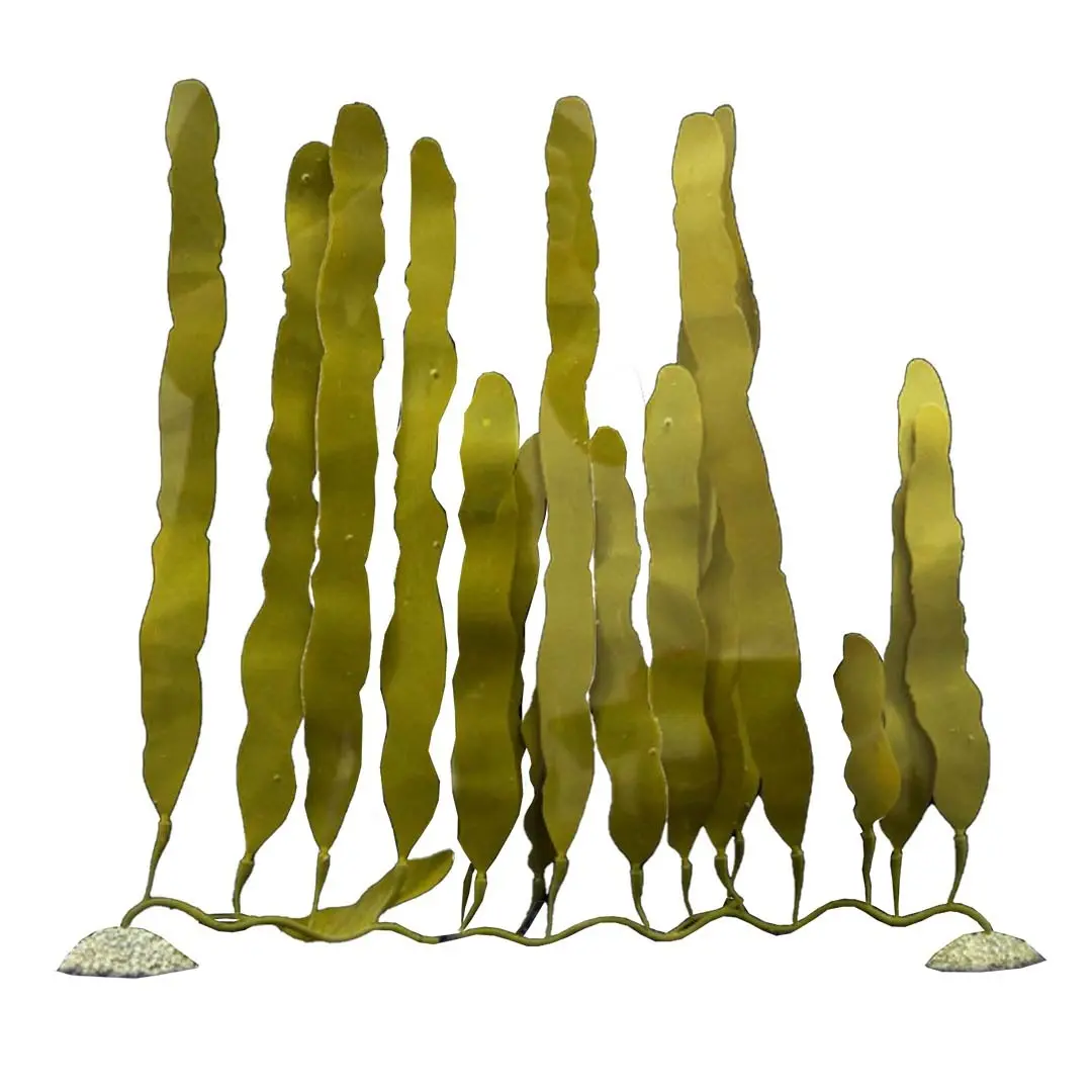Décoration d'aquarium plante artificielle Aqua Della Caulerpa