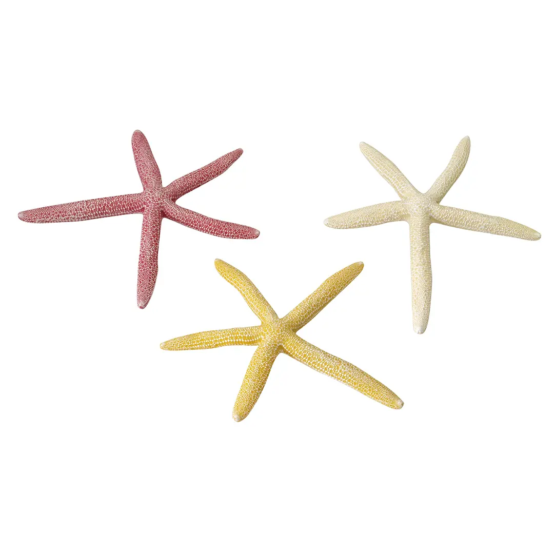 Decorazione dell'acquario Aqua Della Starfish Mix
