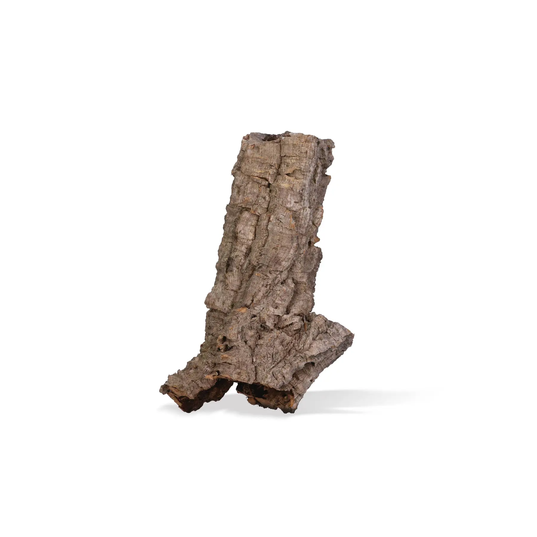 Aquavie Beige Dekoratives Objekt Für Terrarium Tube Liege Varié