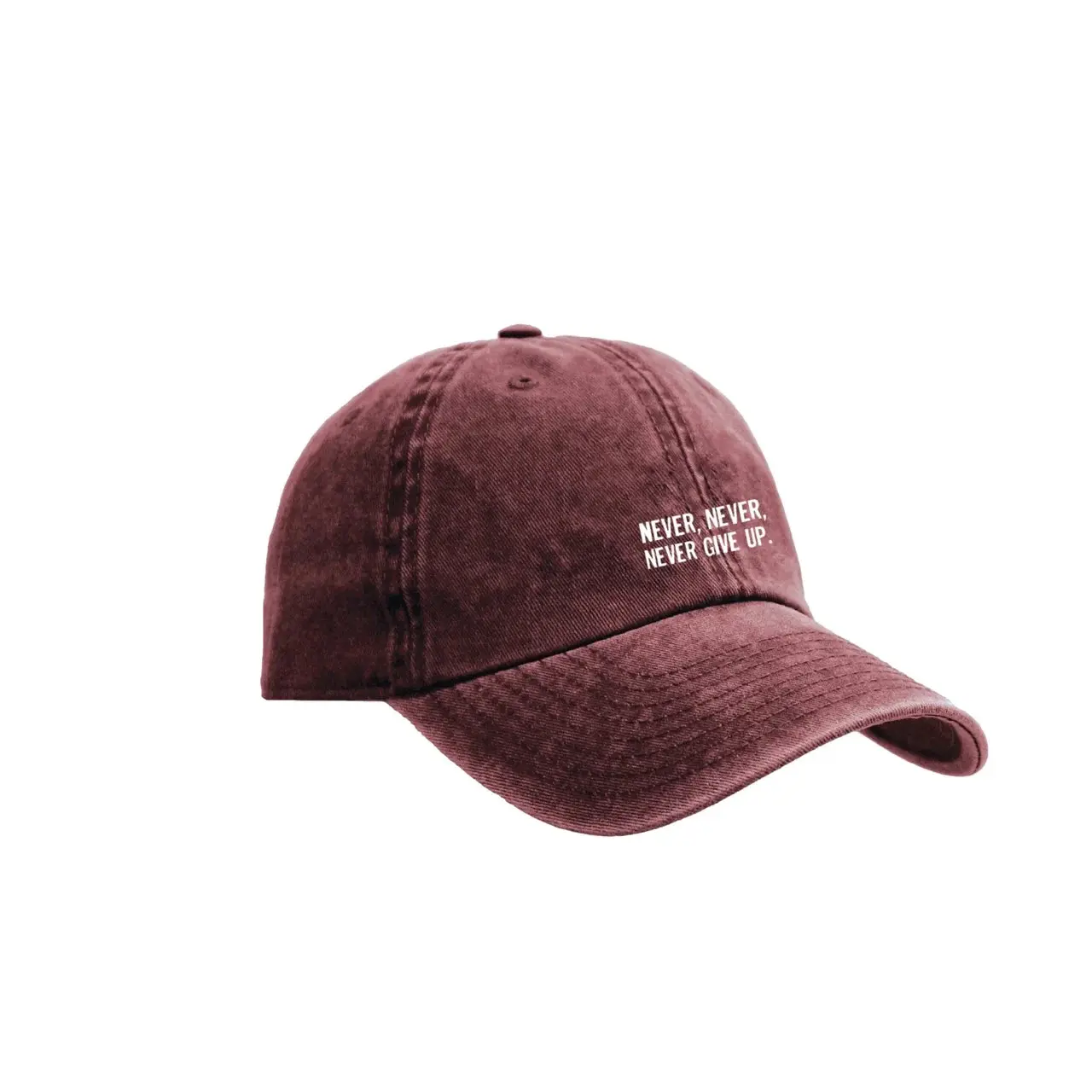 Baseball Kappe Aqüe Apparel Never Give Up