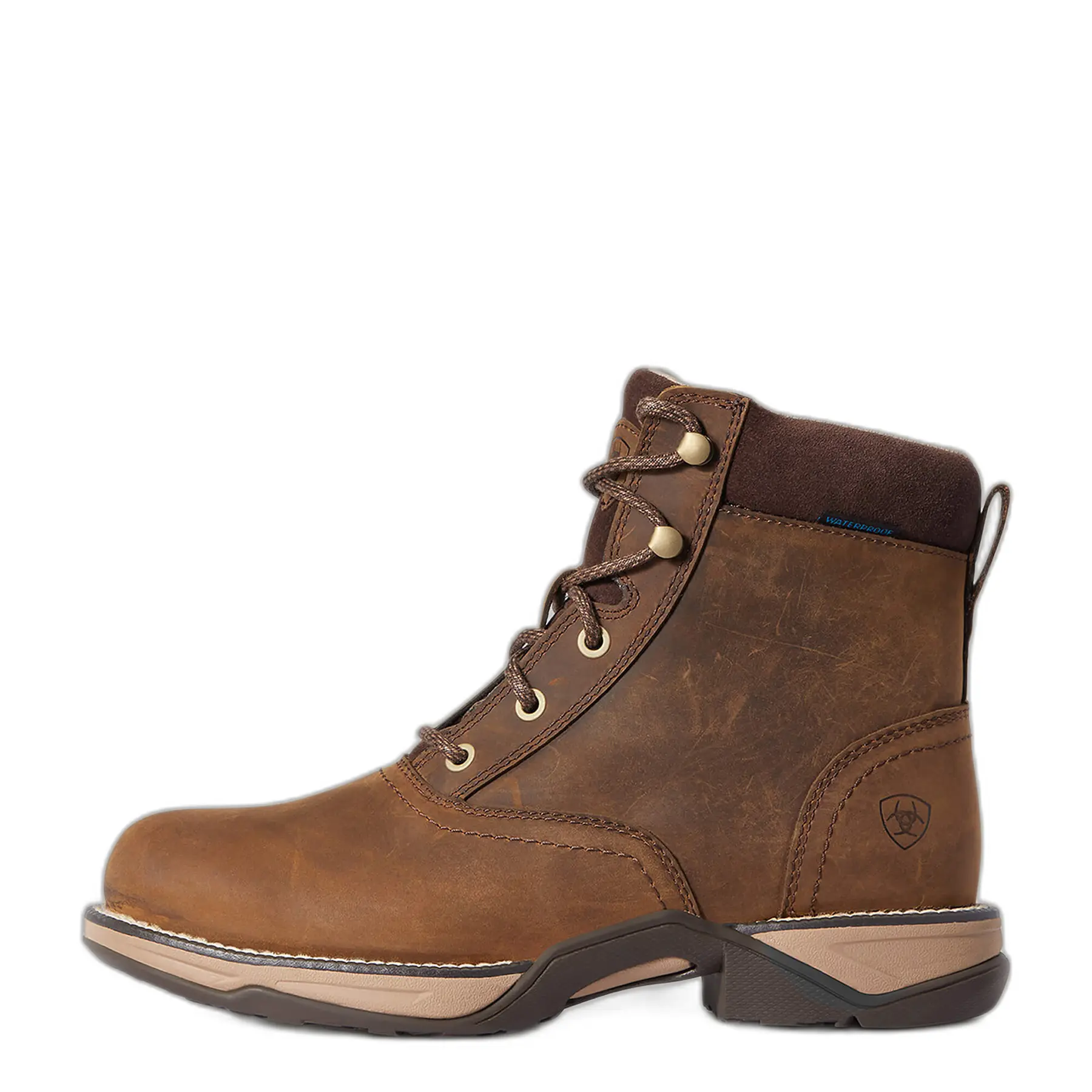 Stivali da equitazione donna Ariat Anthem Round Toe