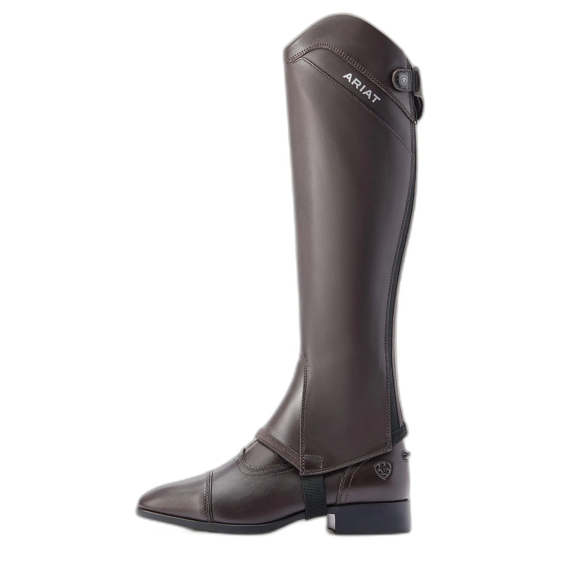 Lederchaps Ariat Palisade