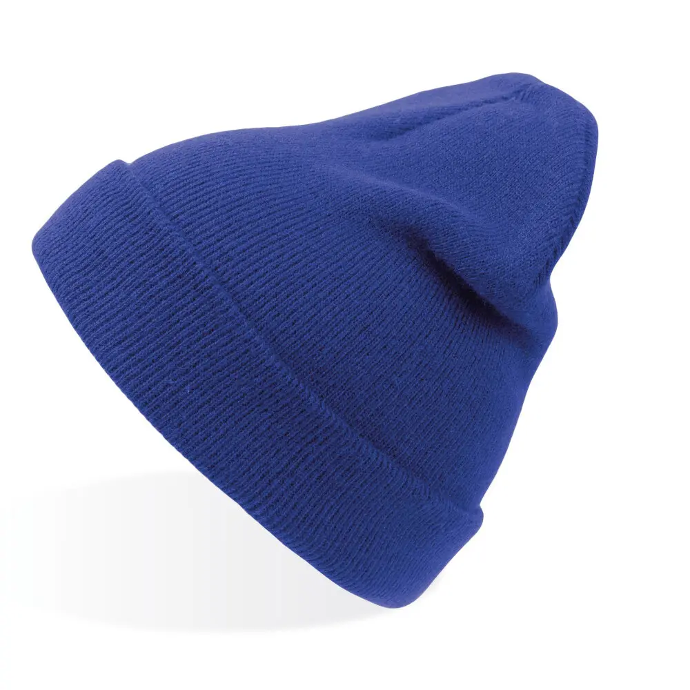 Atlantis Headwear Unisex Bleu Bonnet Wind