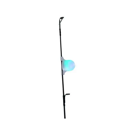 Detector Tortue auto light bleu