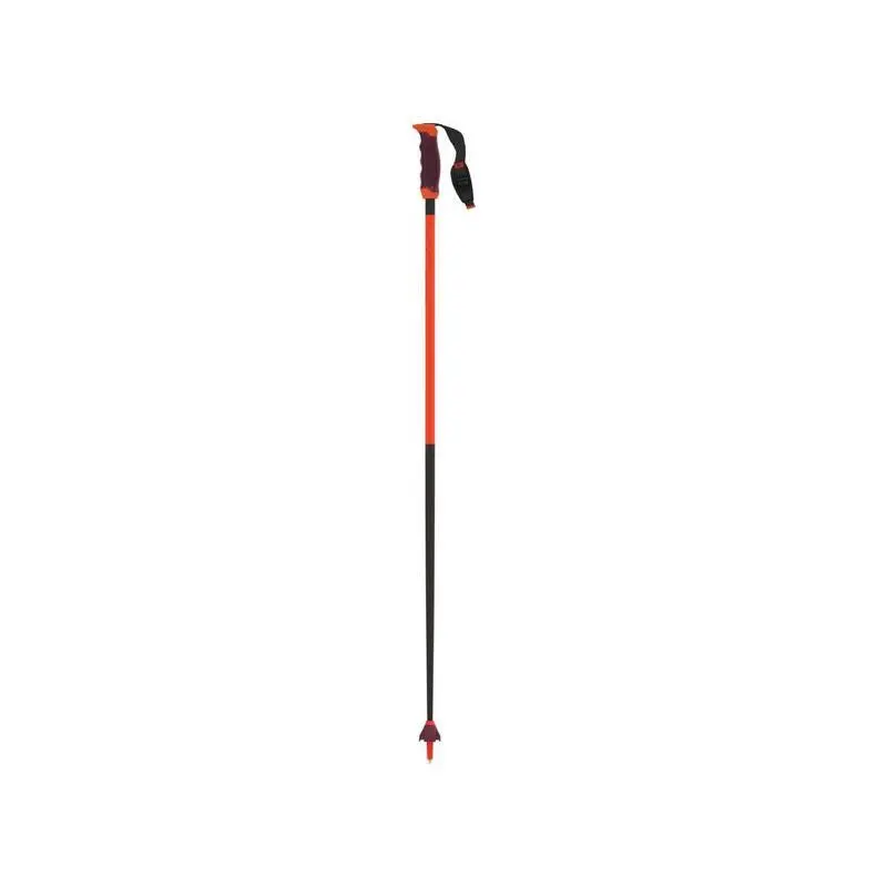 Skistok Atomic Redster Carbon SQS