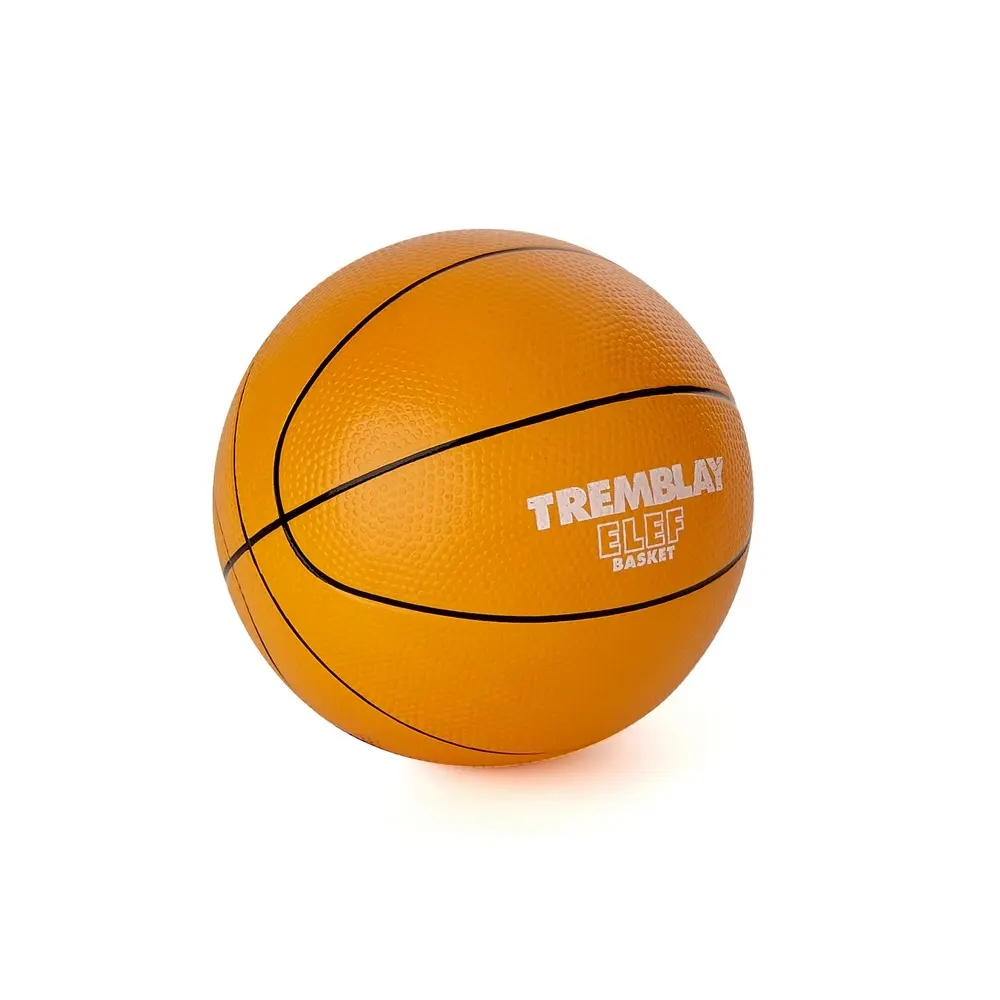 Schaum-Basketball Tremblay Eleph’ Basket