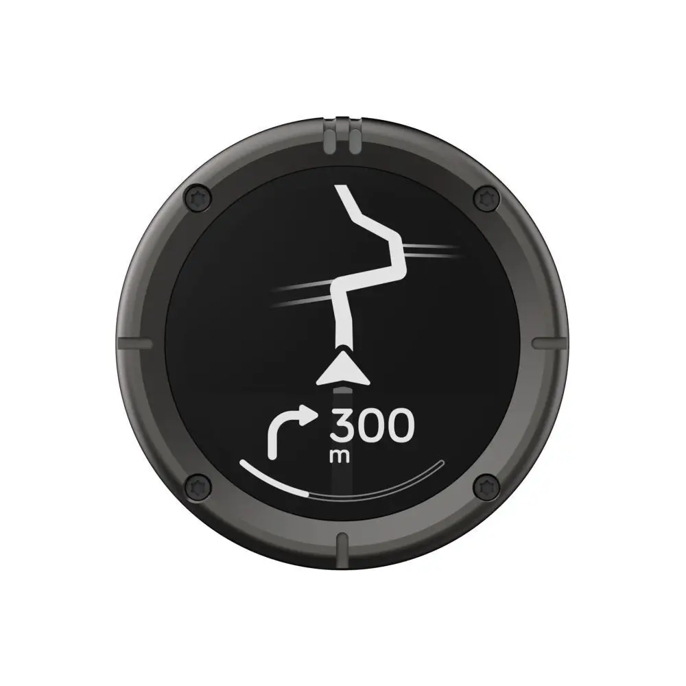 GPS Beeline