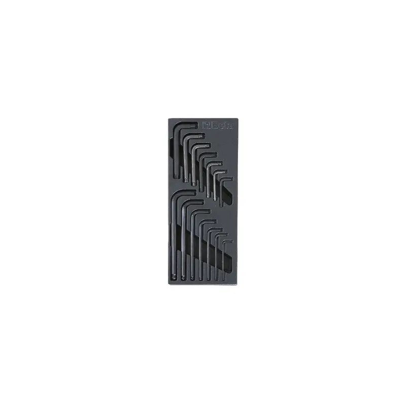 Thermoformed Harde Plateau met 6-hoekige Sleutels en Torx Sleutels Beta