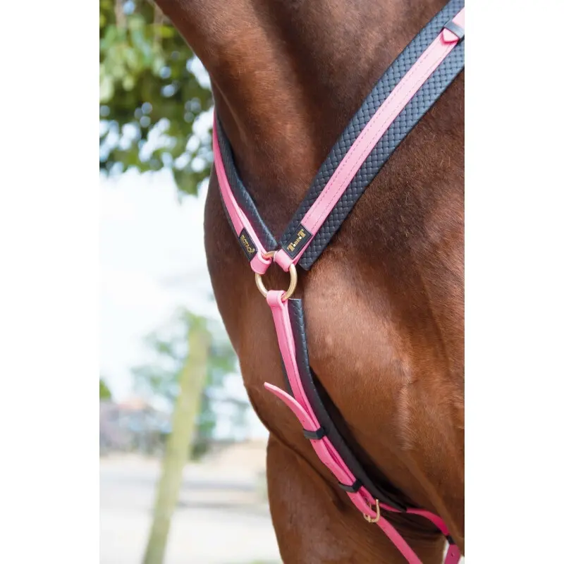 Hunting collar for horse T de T