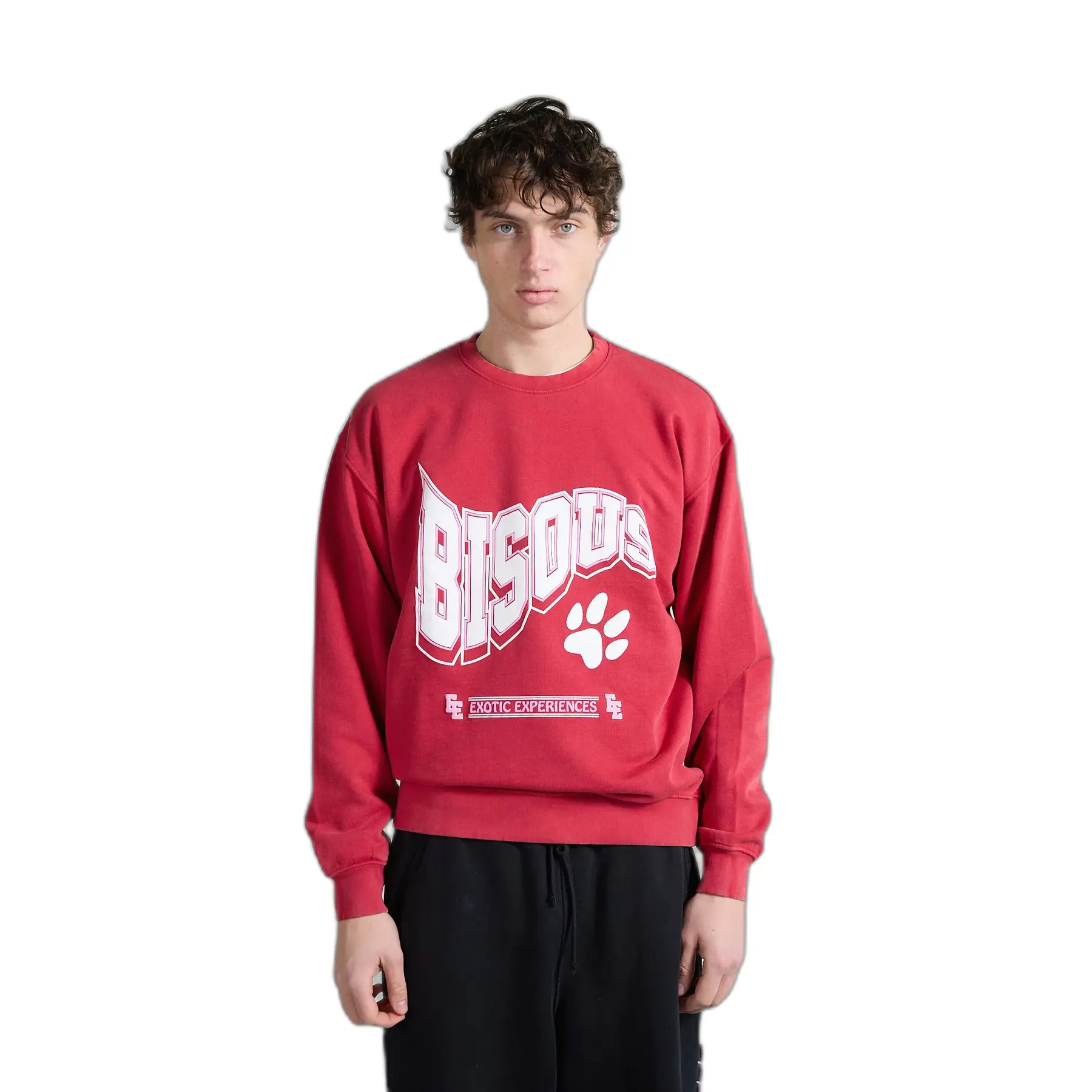 Sweatshirt Bisous Skateboards Bobcat Harvard