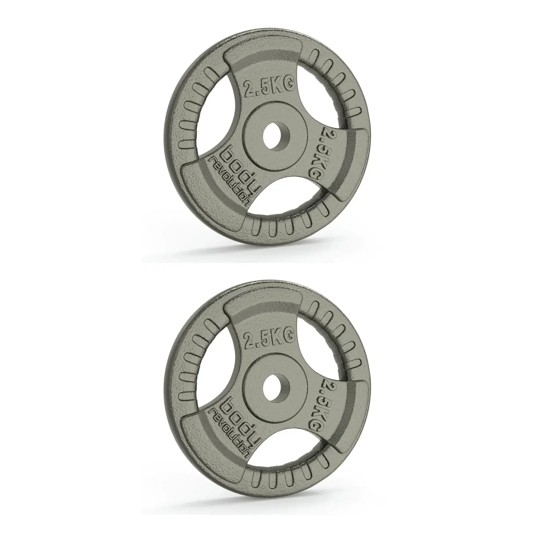 Gusseiserne Muskelscheibe Body Revolution 2,5kg (x2)