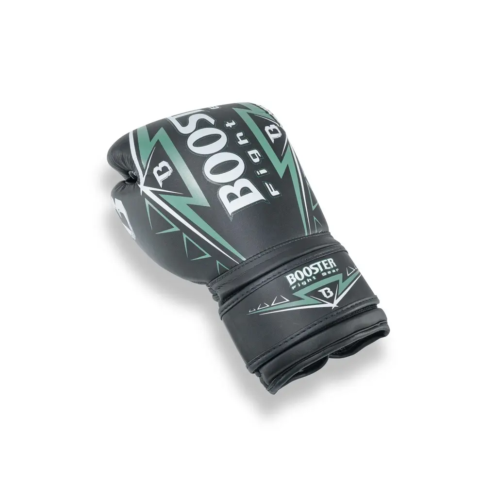 Thaibox-Handschuhe Booster Fight Gear Warrior Series