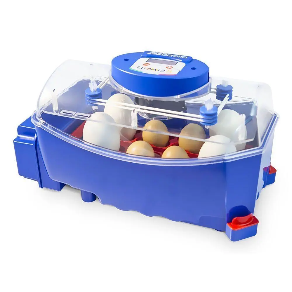 8-egg automatic incubator Borotto Lumia