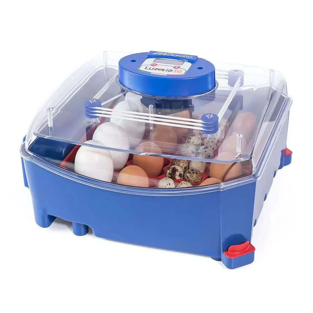 16-egg automatic incubator Borotto Lumia