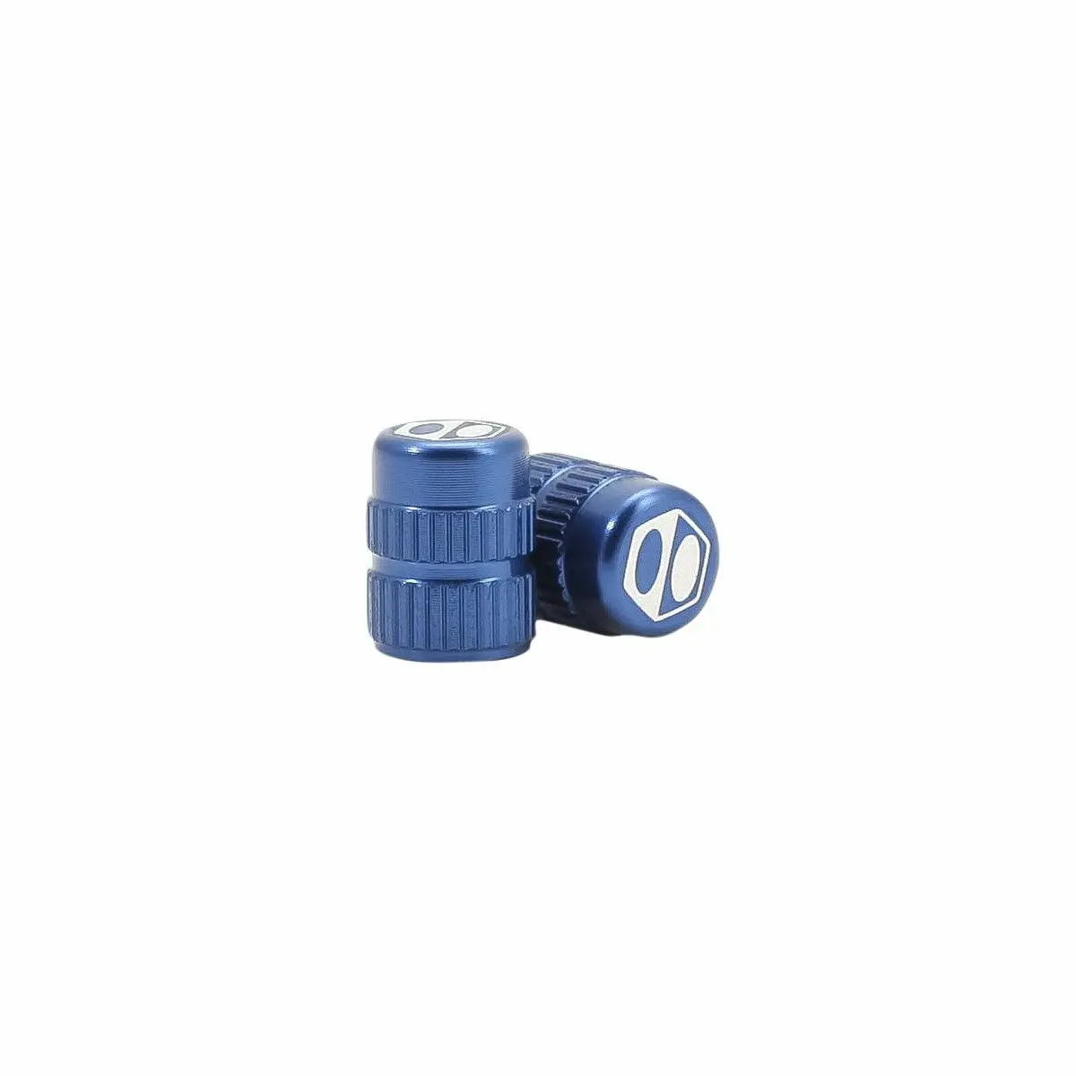 Paar Blue Schrader One Valve Tipps