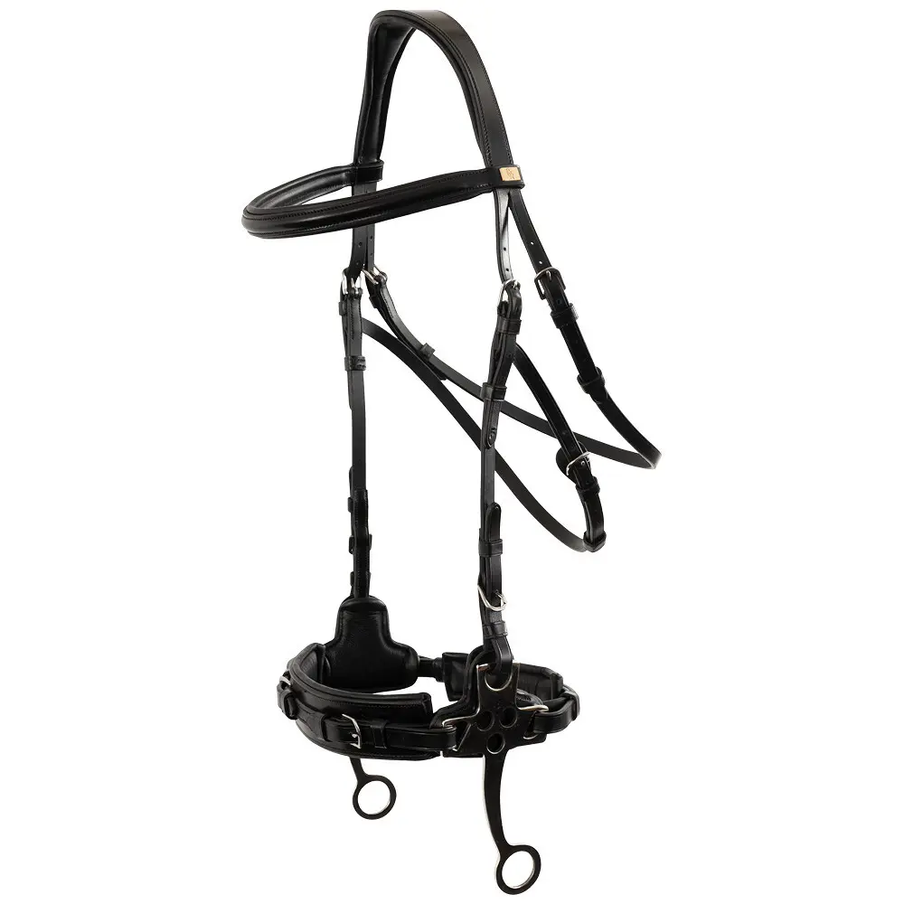 Anatomical Bitless Bridle for Horse BR Equitation Thornbury