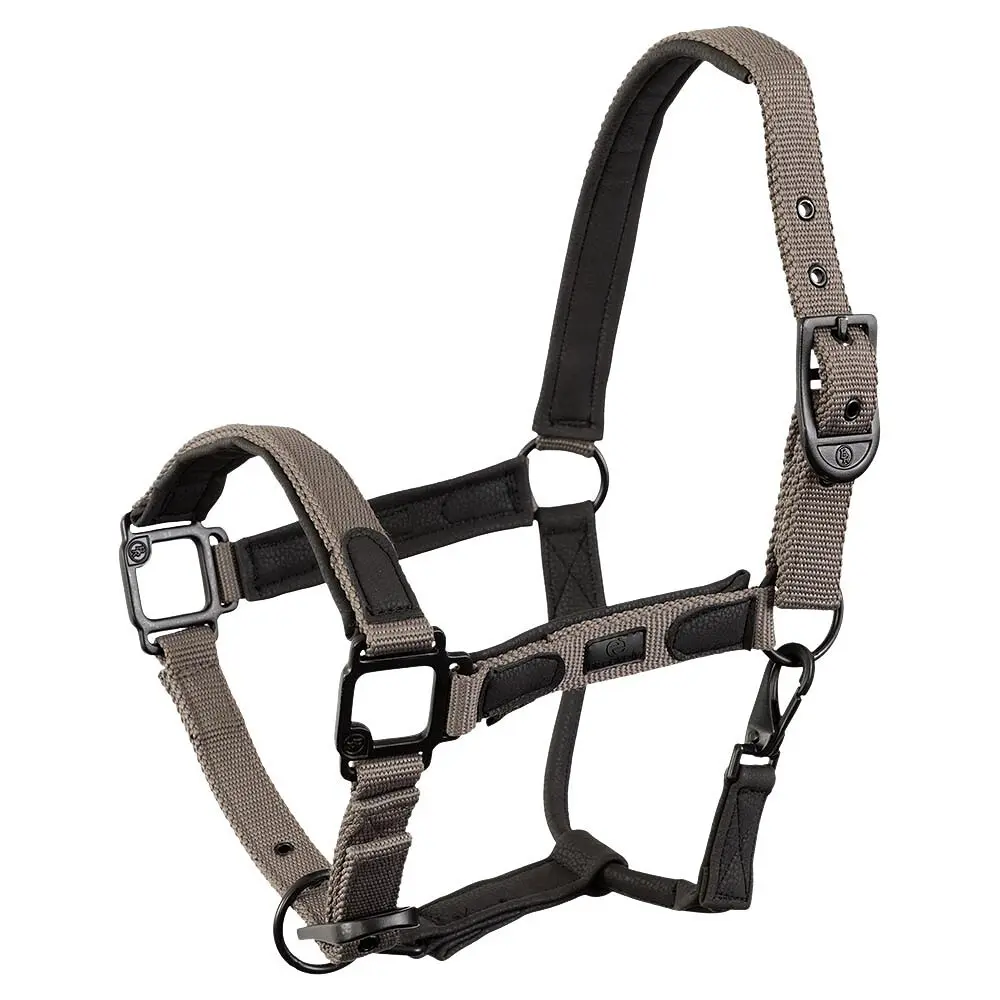 Licol pour cheval BR Equitation Eevolv Laudine