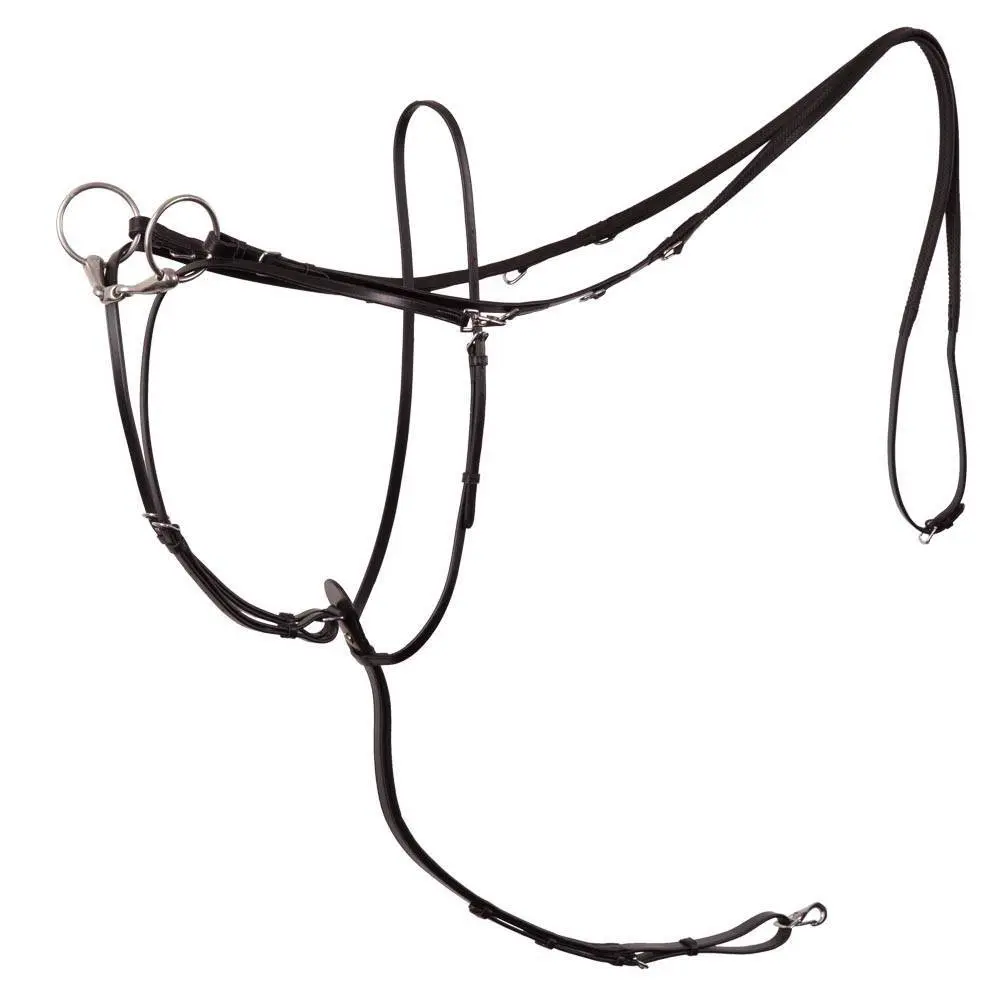 Martingala per cavalli BR Equitation Market Harborough Lancaster