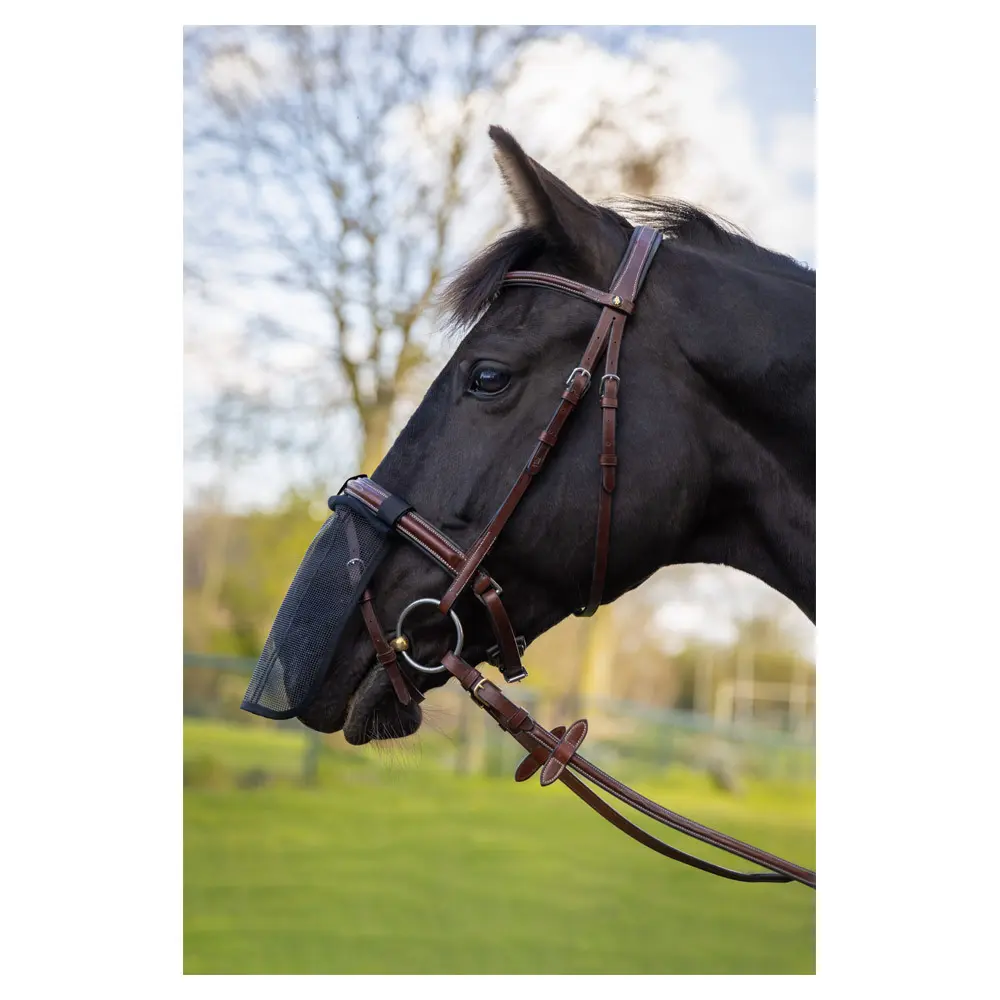 Nose guard for horses BR Equitation