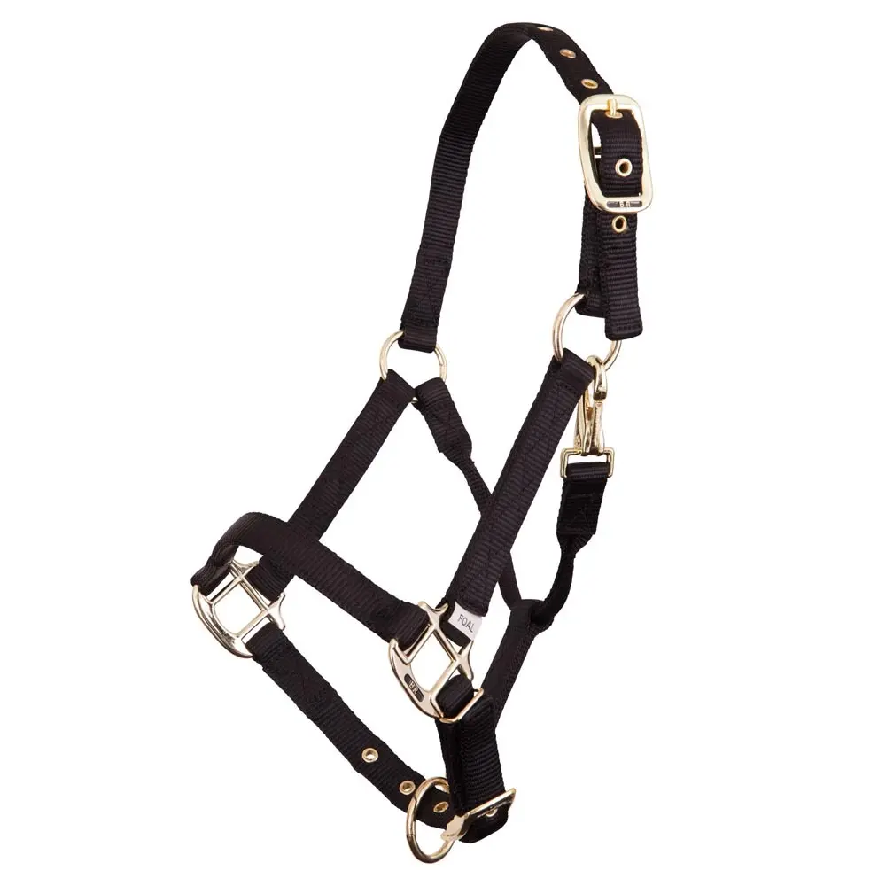 Adjustable nylon/brass halter for foals BR Equitation
