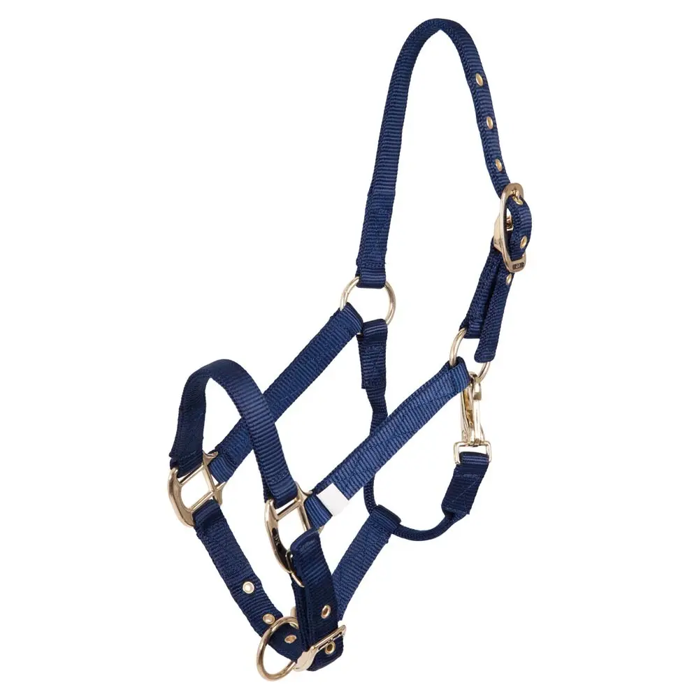 Adjustable nylon/brass halter for foals BR Equitation
