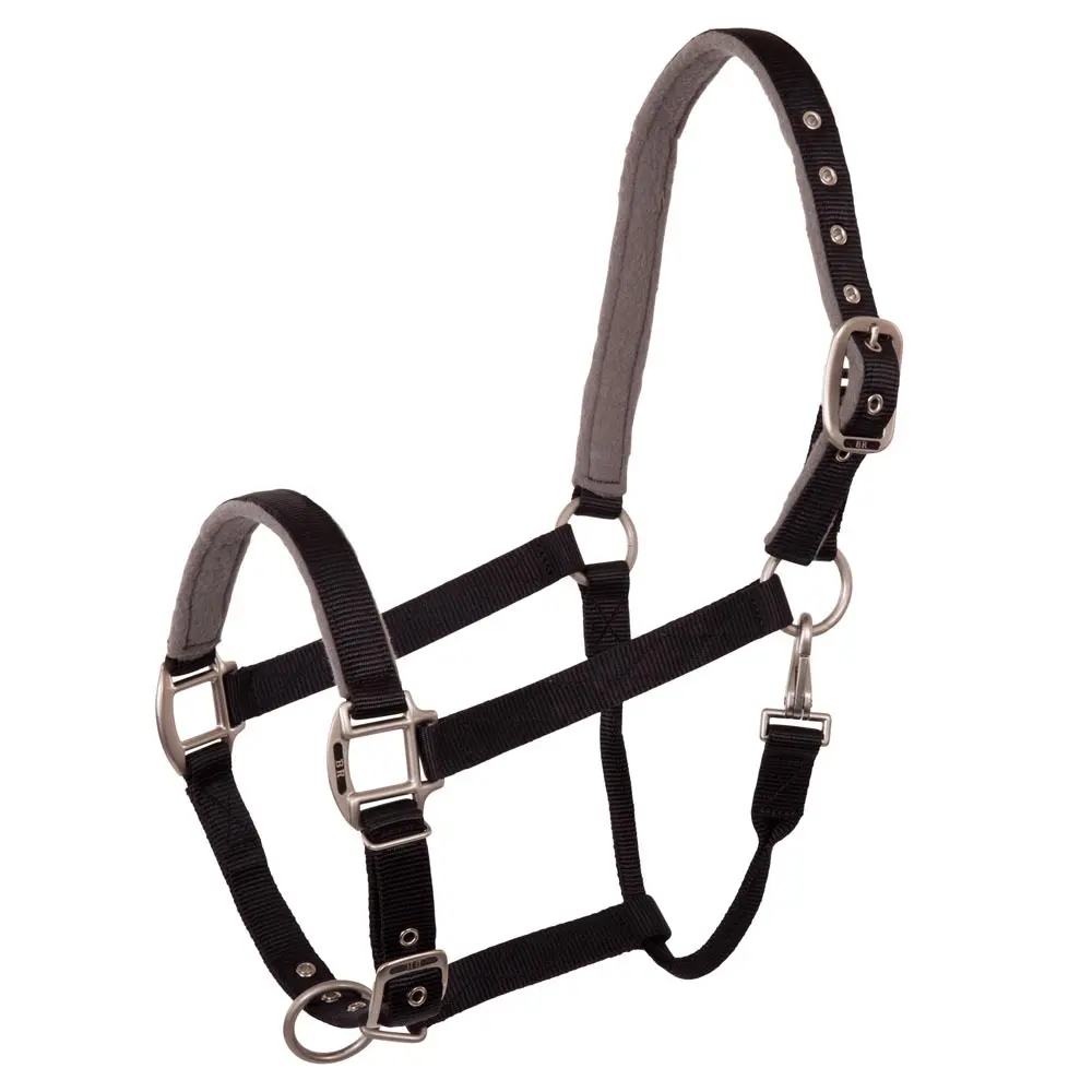 Halter for horse BR Equitation Event