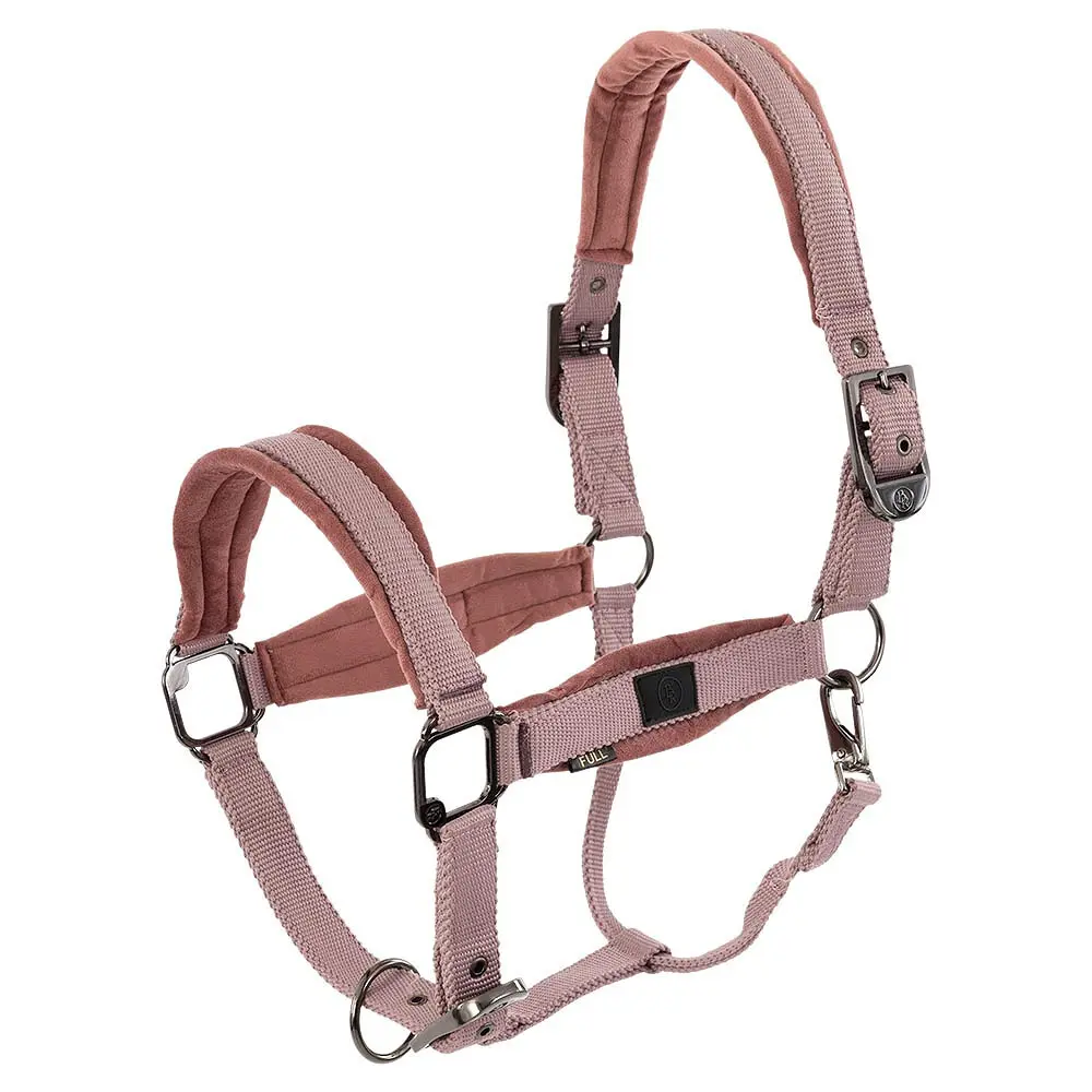 Nylonhalfter BR Equitation Julia