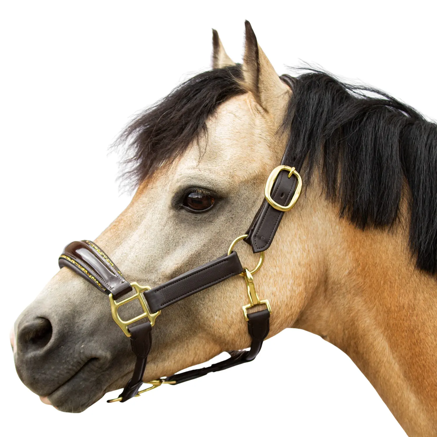Leather headcollar for pony Bridlery Eternity