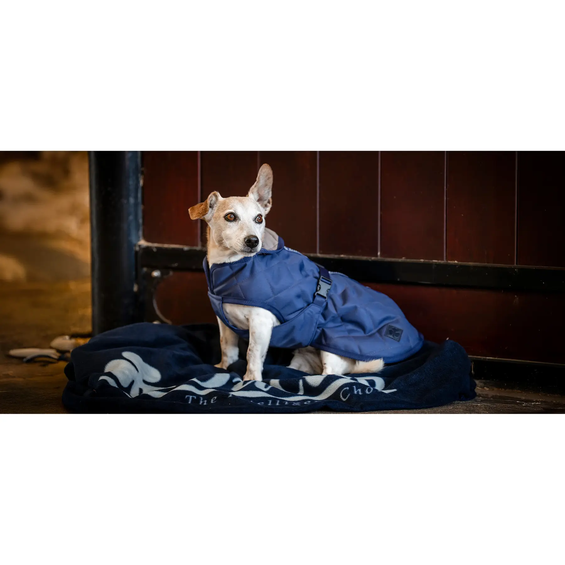 Gemütliche Hundedecke Bucas - Farbe: Bleu